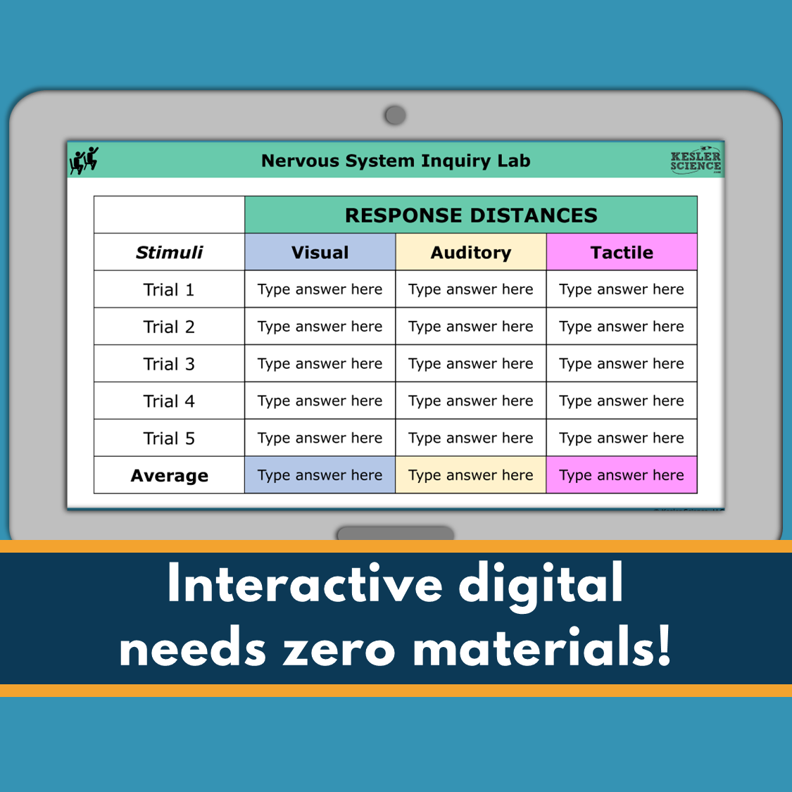 Nervous System Digital Inquiry Lab Virtual &  NGSS MS LS1-8