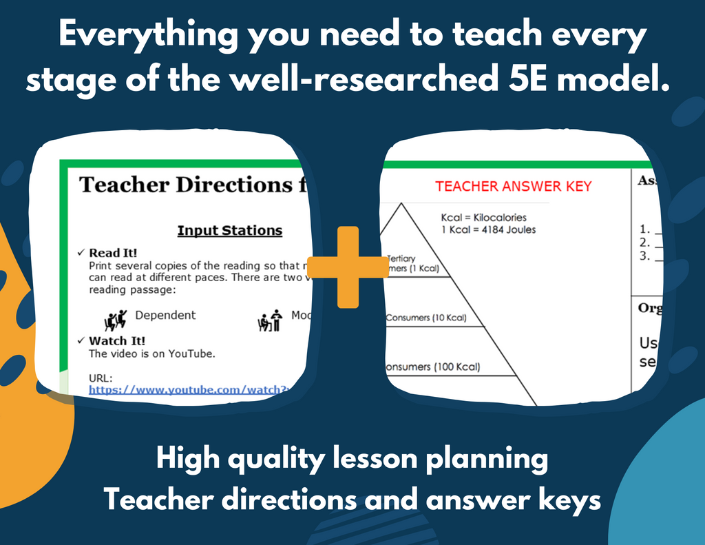 Energy Pyramids Complete Lesson Plan - MS