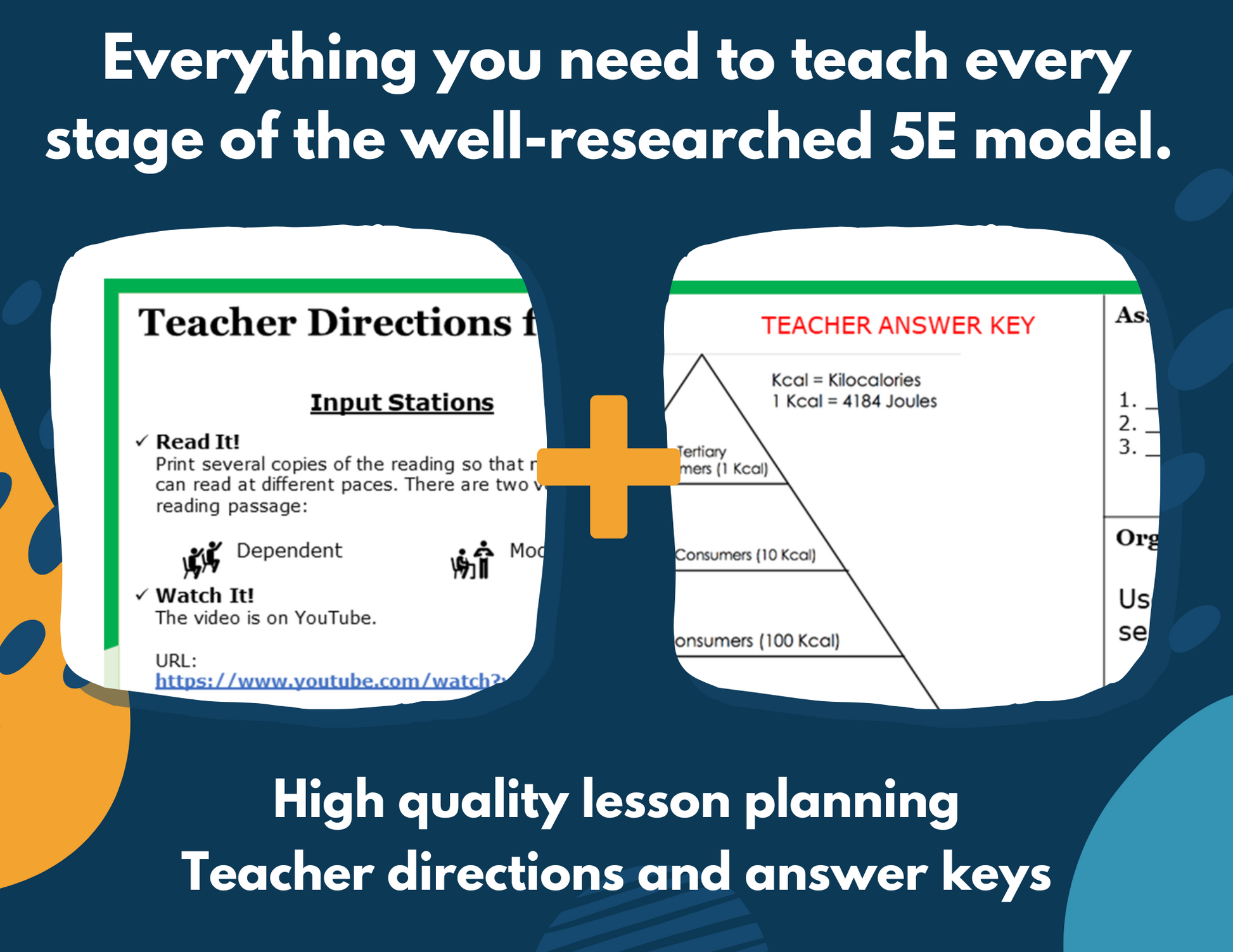 Energy Pyramids Complete Lesson Plan - MS
