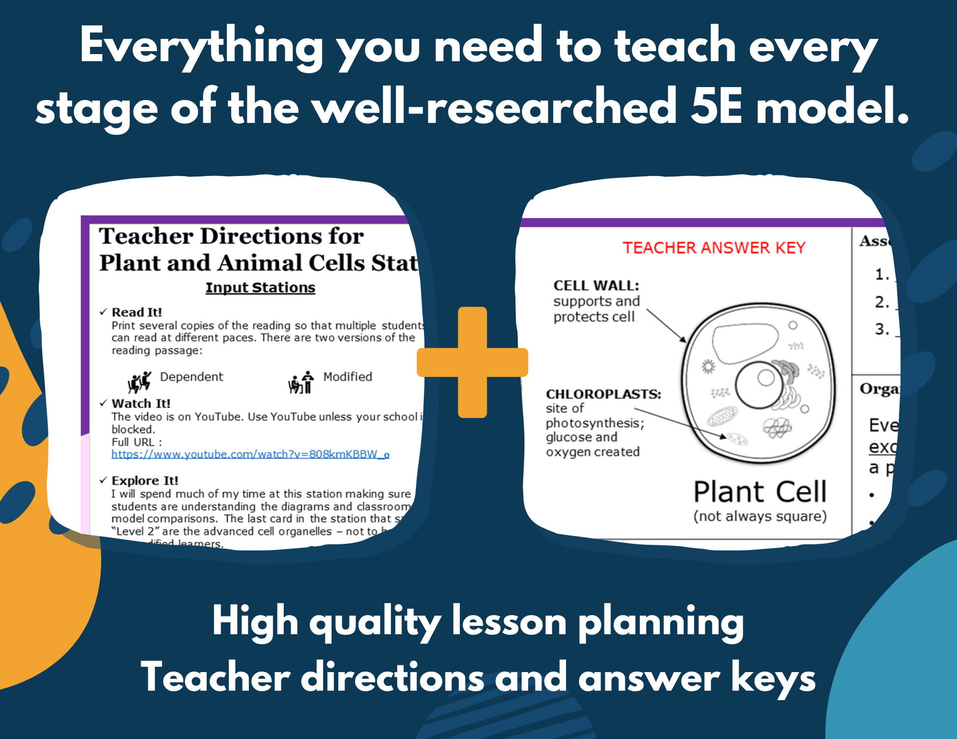 2021 TEKS MS 6-8 5E Lessons: Structure of Life Bundle