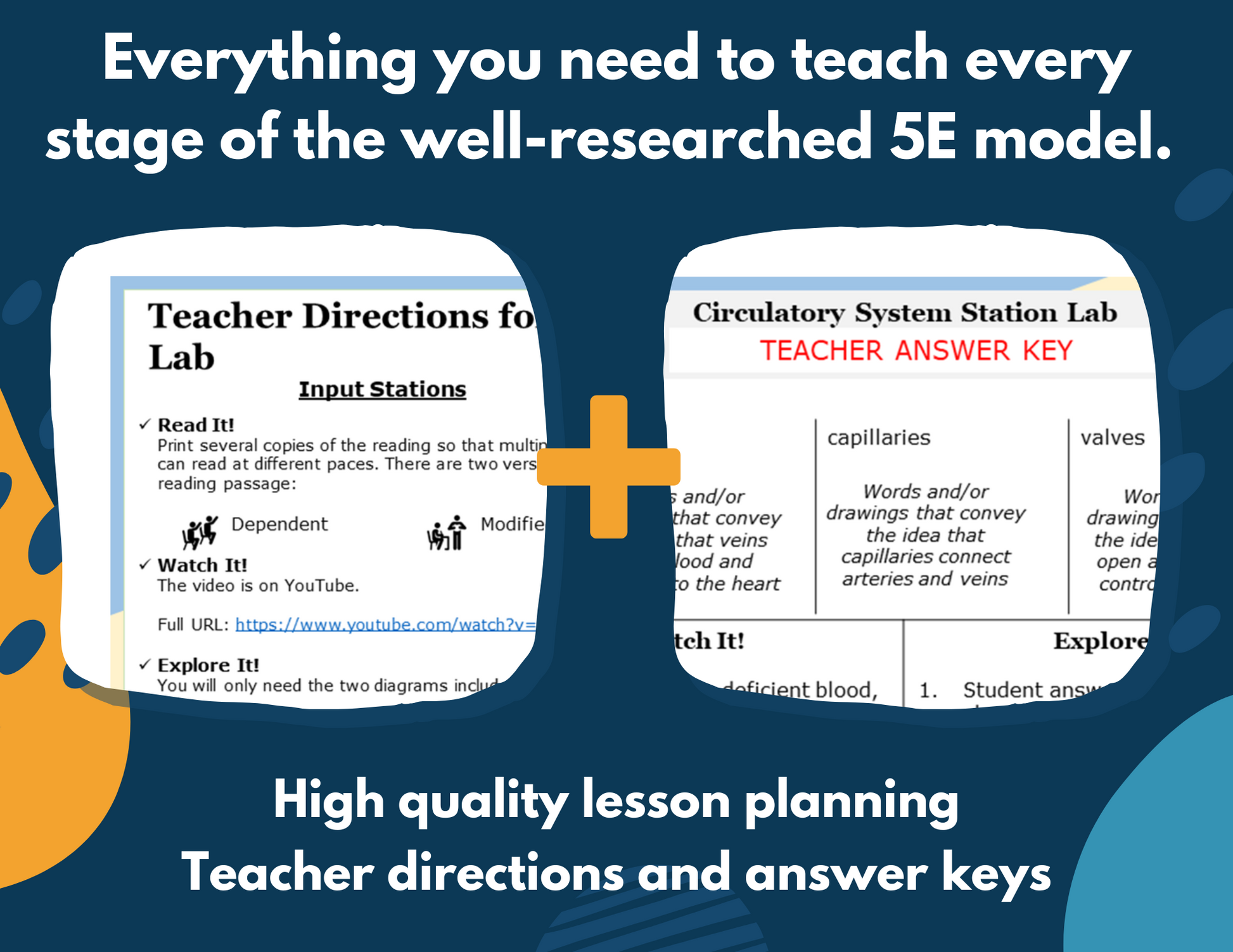 Circulatory System Complete Lesson Plan - MS