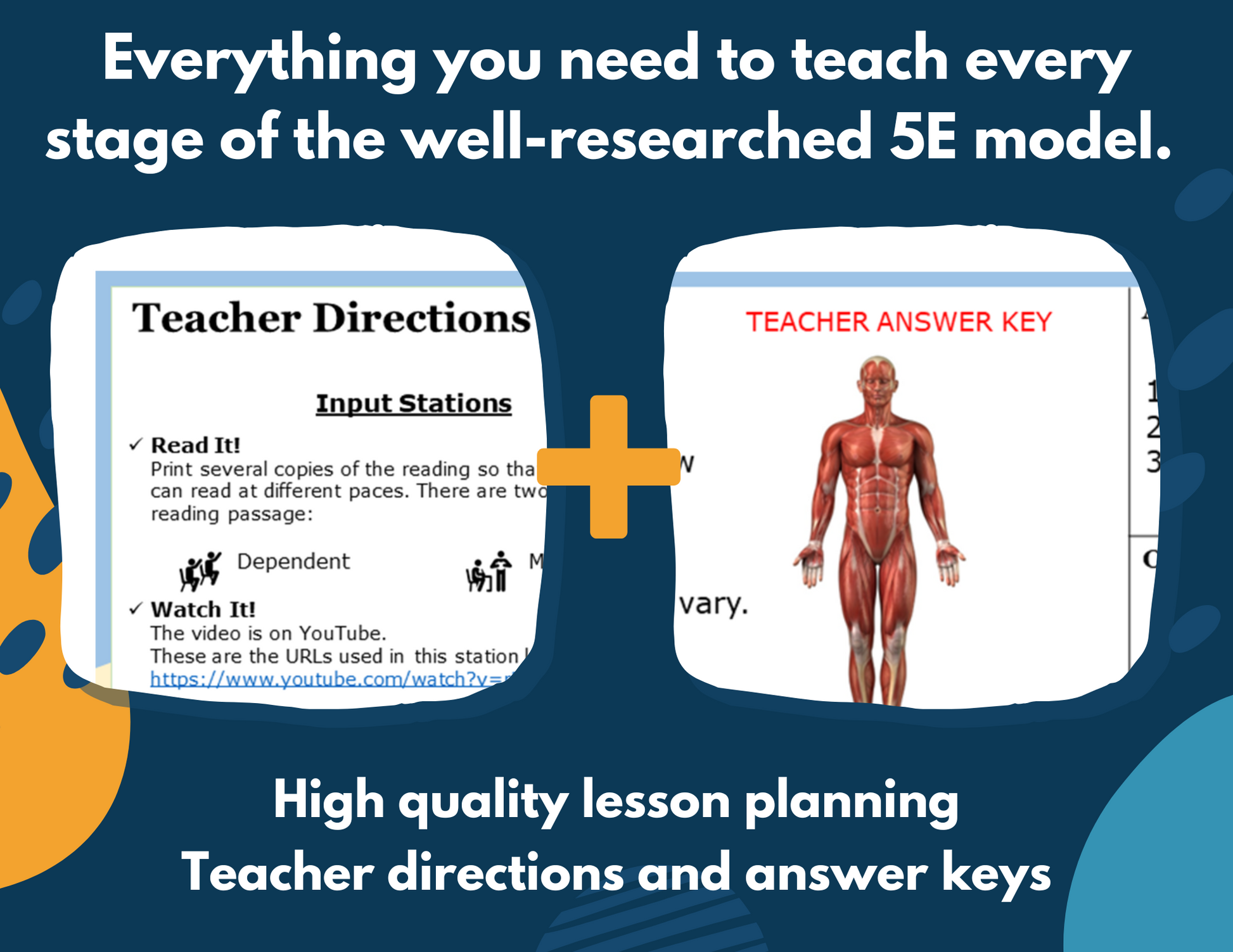 Muscular System Complete Lesson Plan - MS
