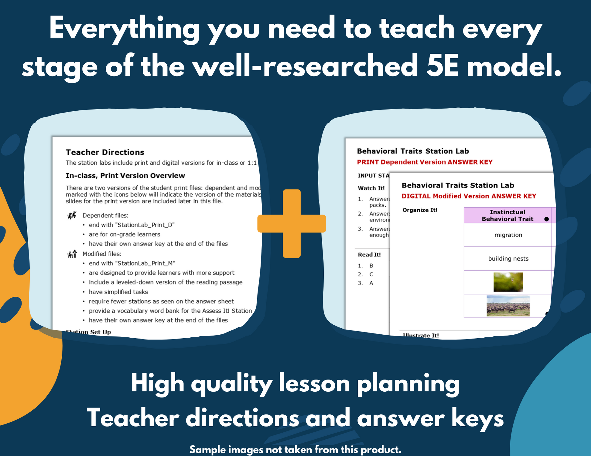 Biotic & Abiotic Interactions Complete Science Lesson - Grade 5, New TEKS 5.12A