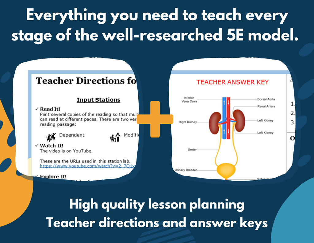 Excretory System Complete Lesson Plan - MS