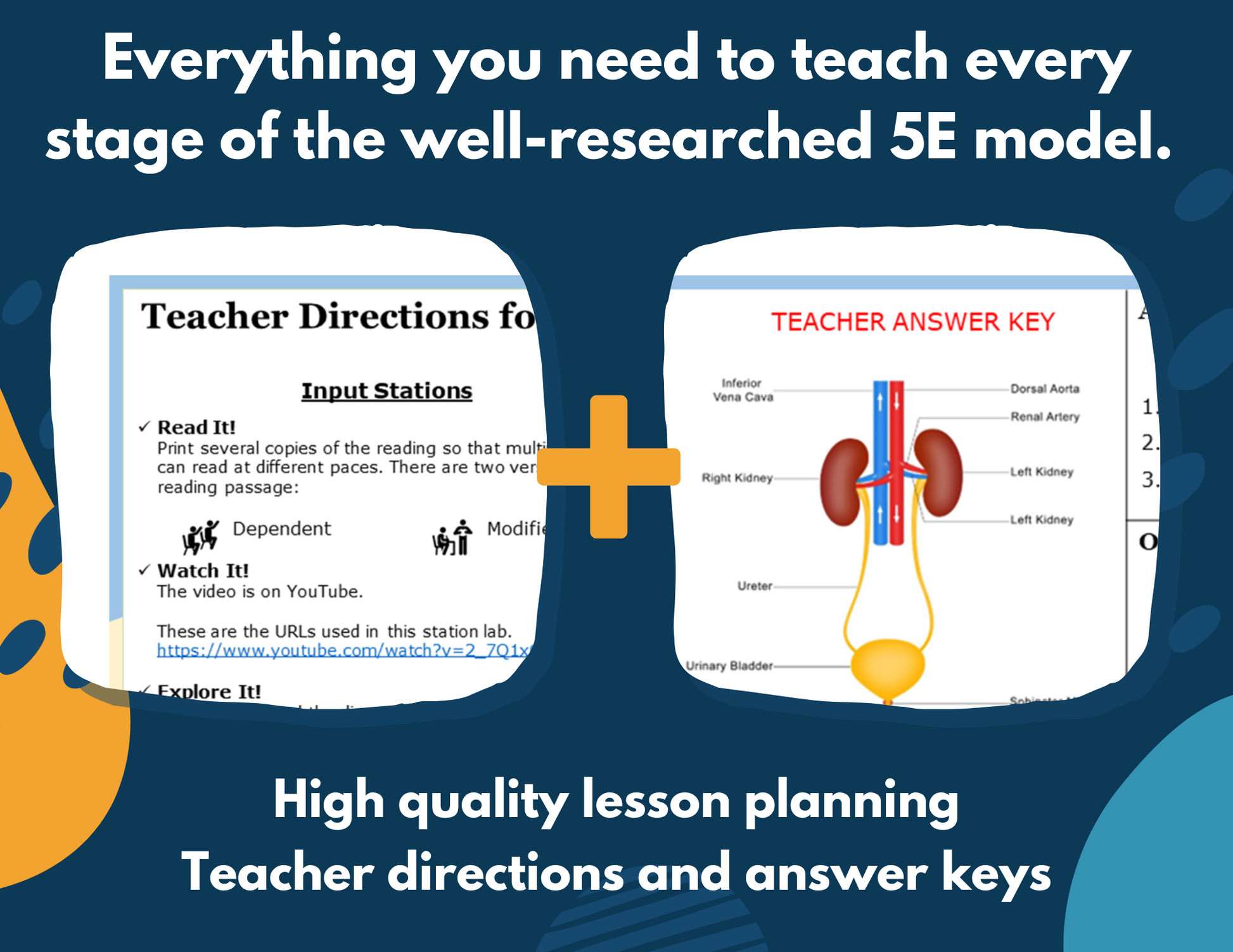 Excretory System Complete Lesson Plan - MS