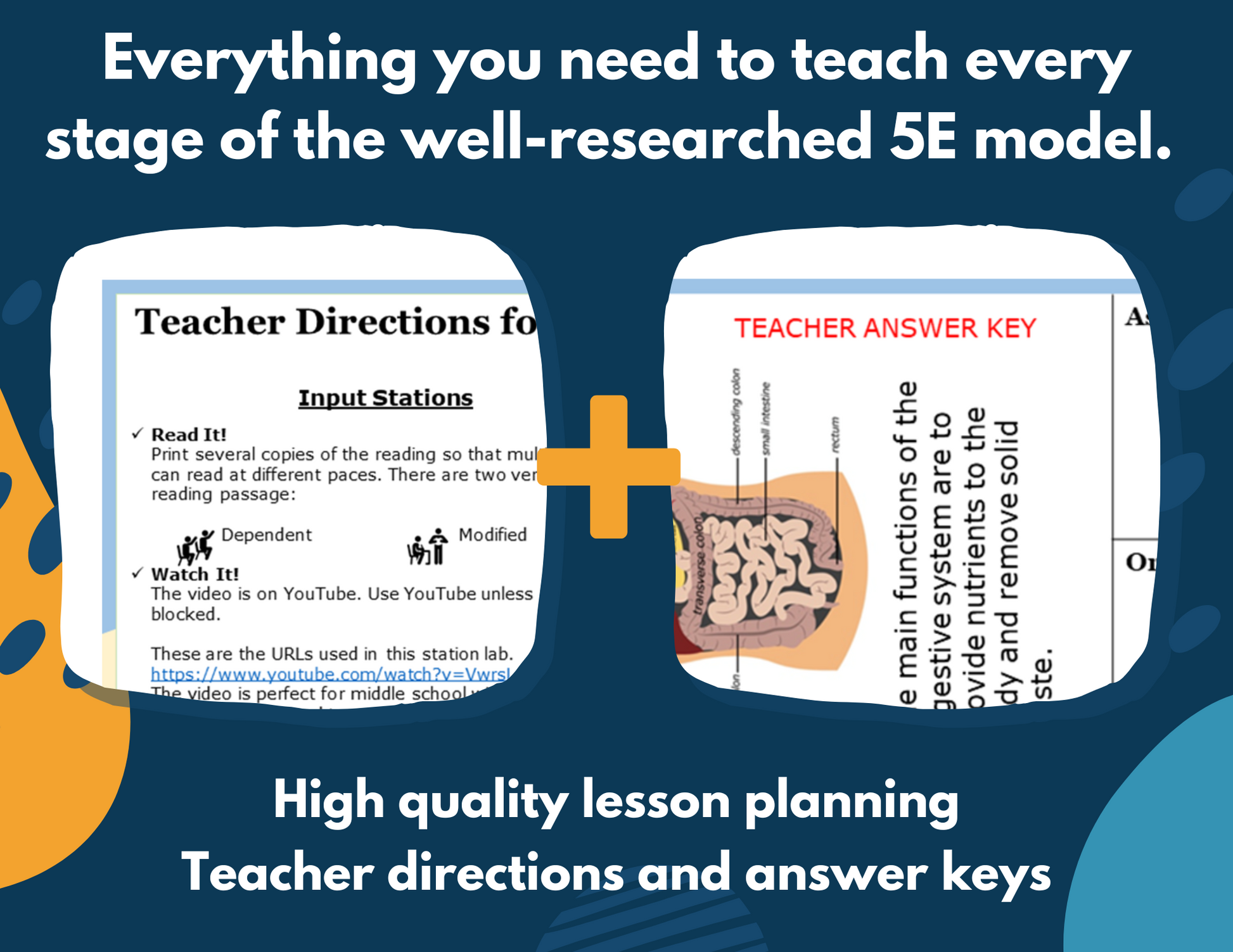 Digestive System Complete Lesson Plan - MS