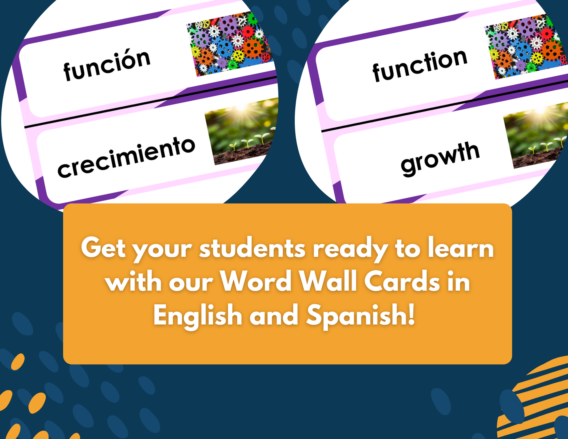 2021 TEKS 5E Lessons: 4th Grade Life Science Bundle