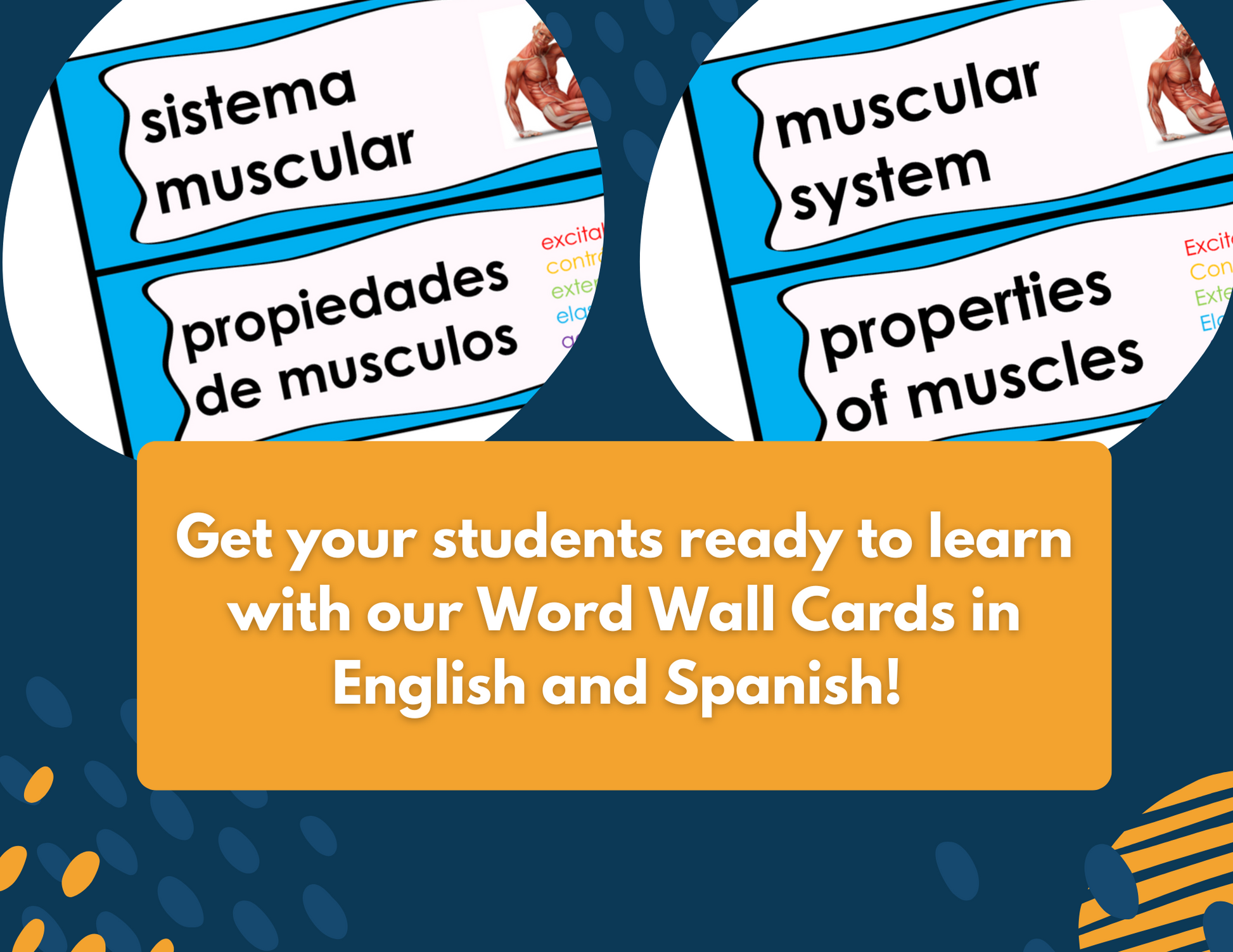 2021 TEKS MS 6-8 5E Lessons: Body Systems Bundle