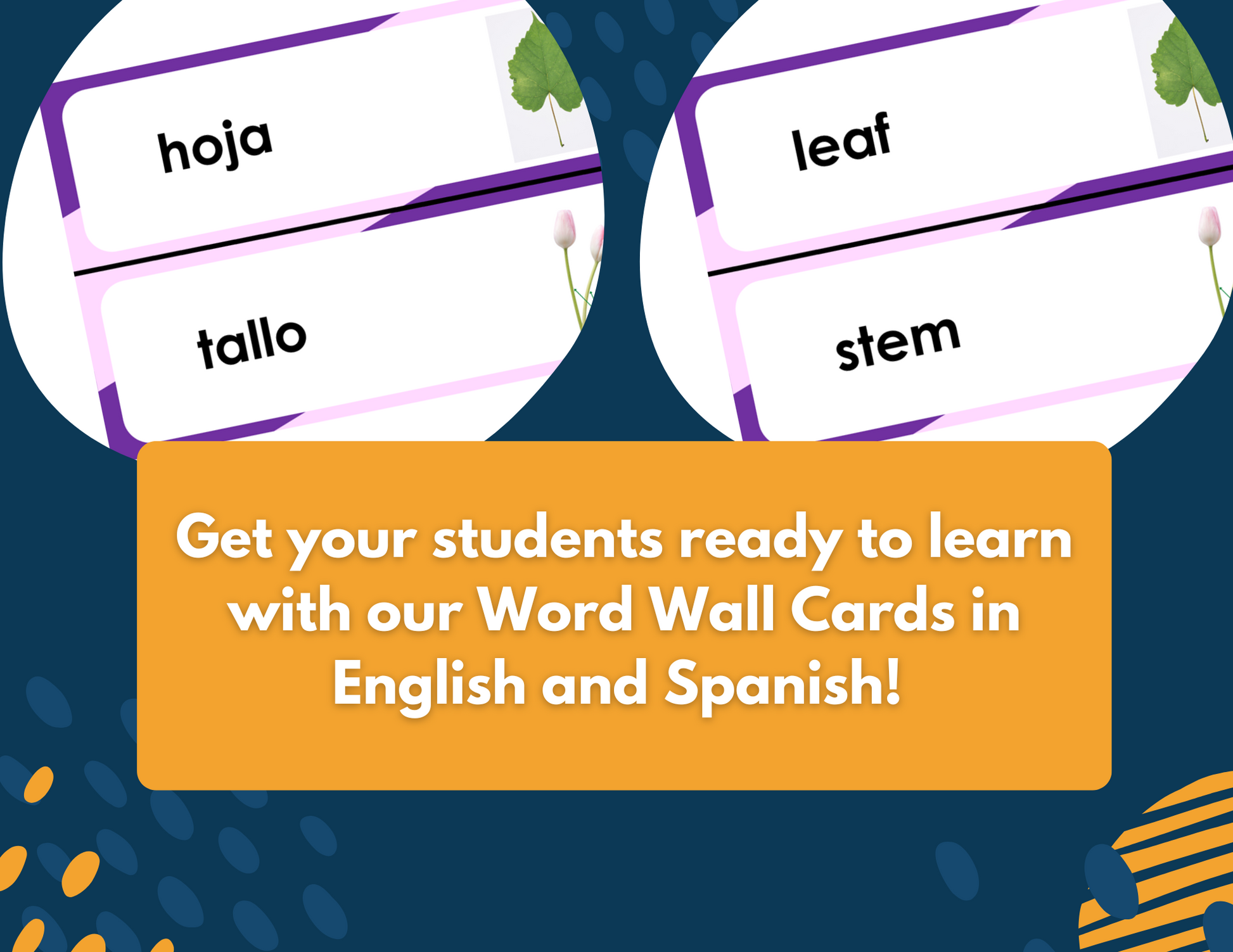 2021 TEKS 5E Lessons: 5th Grade Life Science Bundle