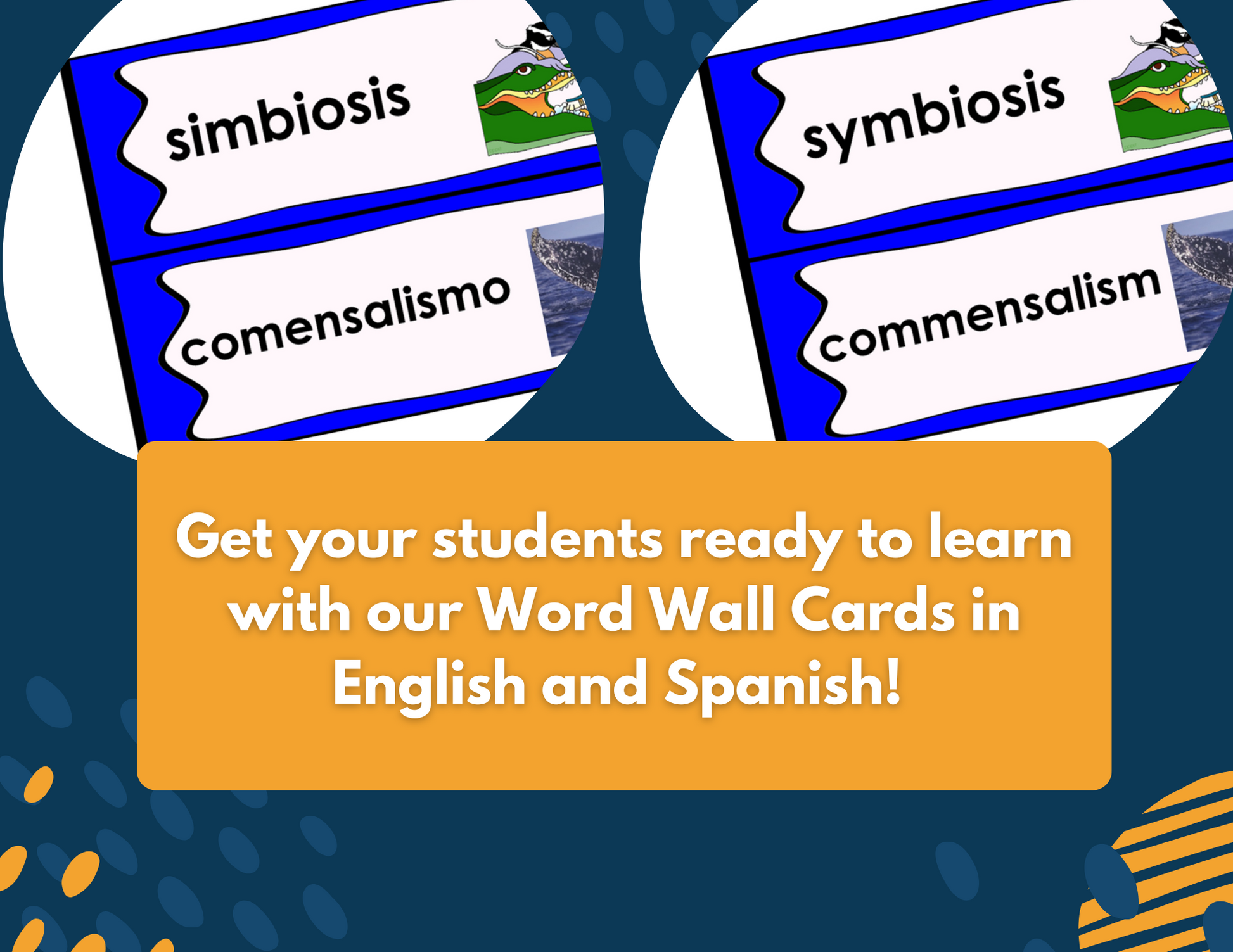Symbiosis Complete Lesson Plan - MS