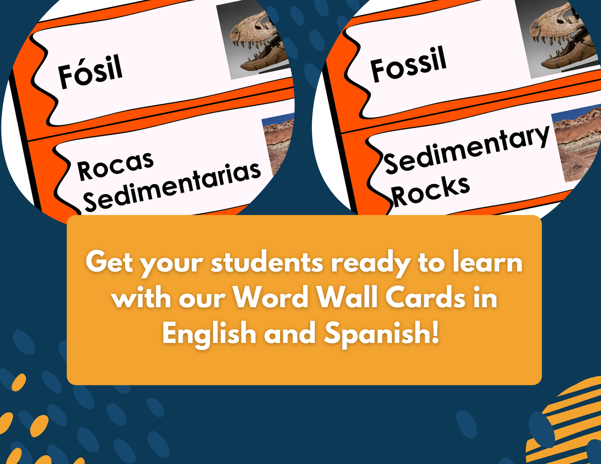 Fossils Complete Lesson Plan - MS