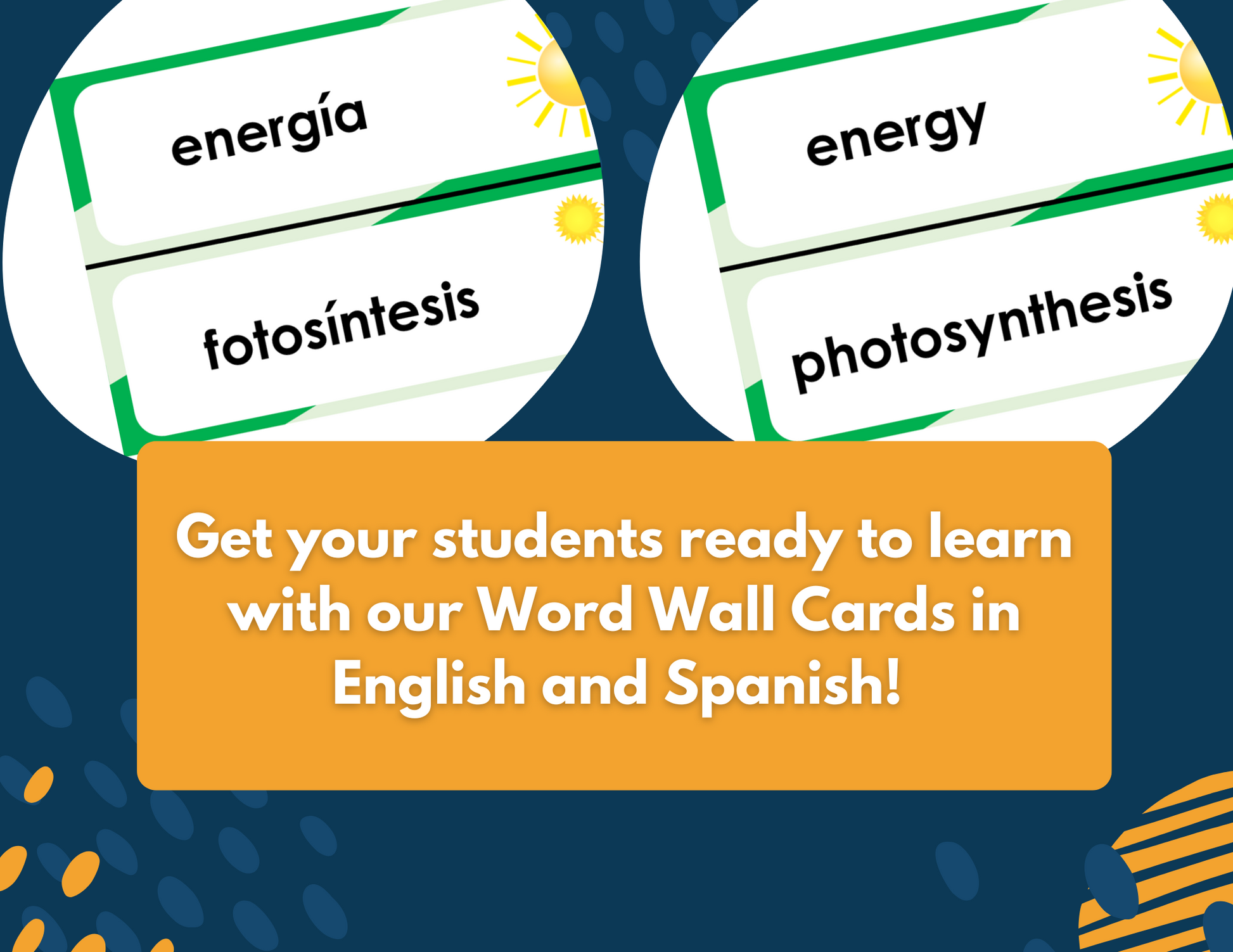 Energy in Ecosystems - Complete Lesson Plan - 5th Grade