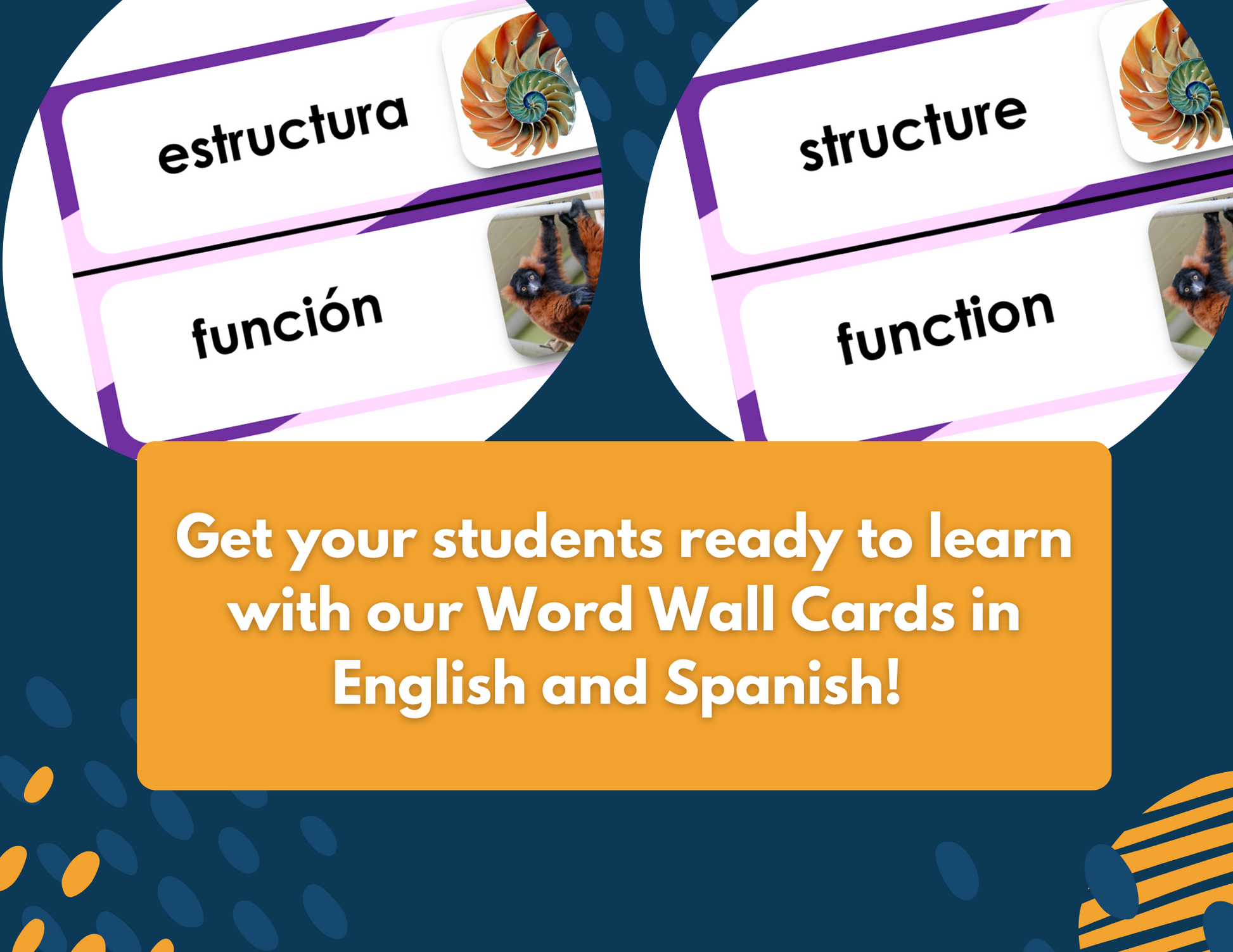 Structures & Functions - Complete Lesson Plan - Grades 4-6