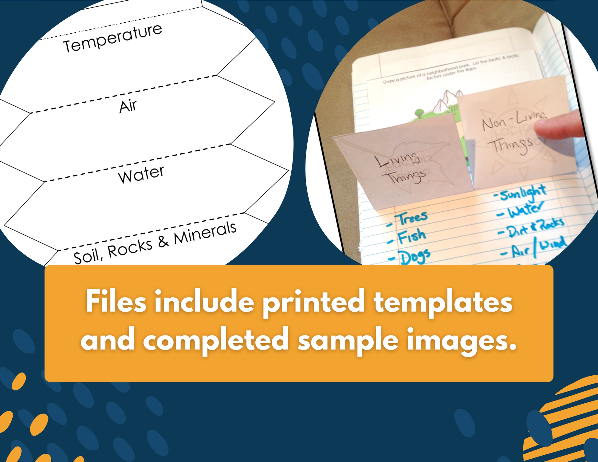 Ecosystems Interactive Notebook Pages - Digital & Print INB - MS 6-8