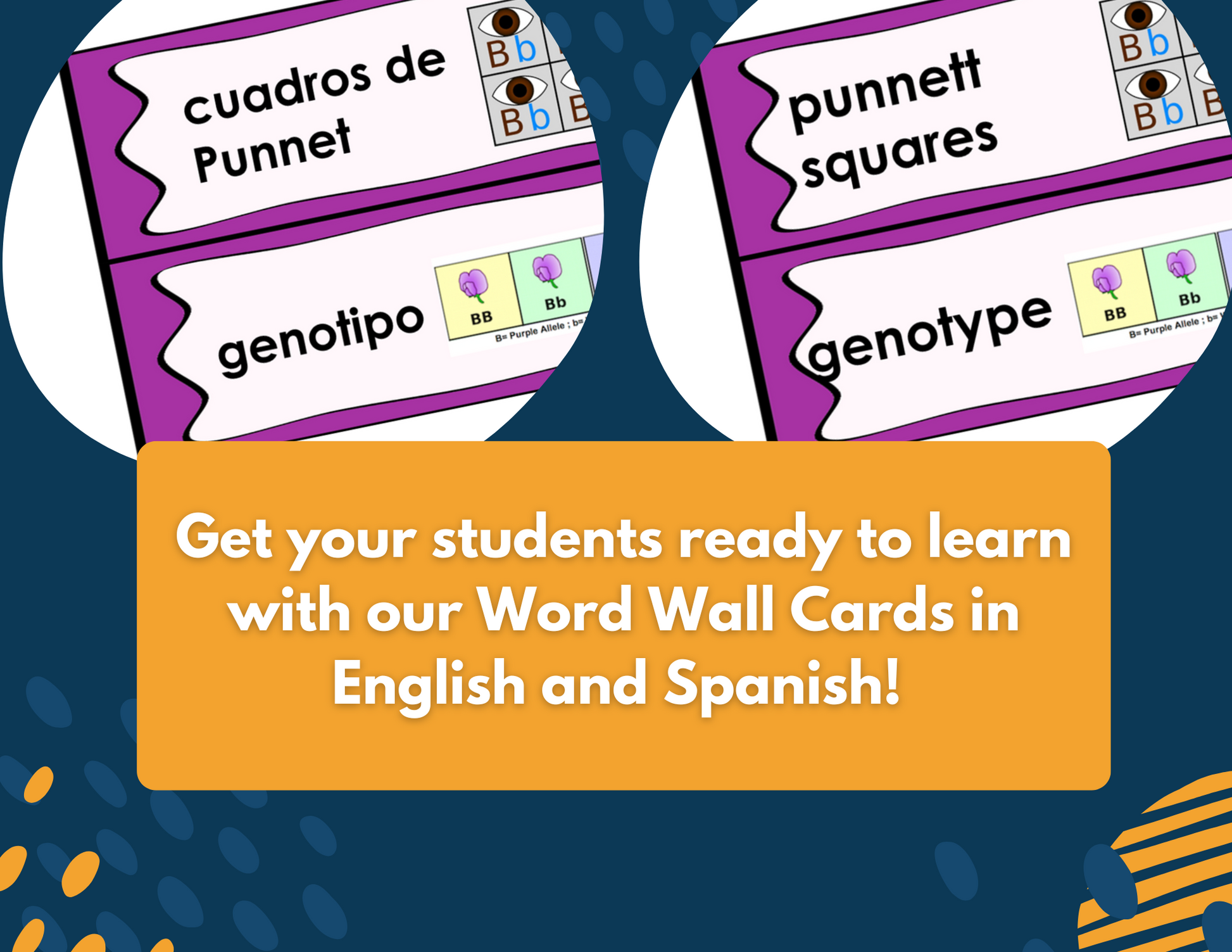 Genetics Complete Lesson Plan - MS