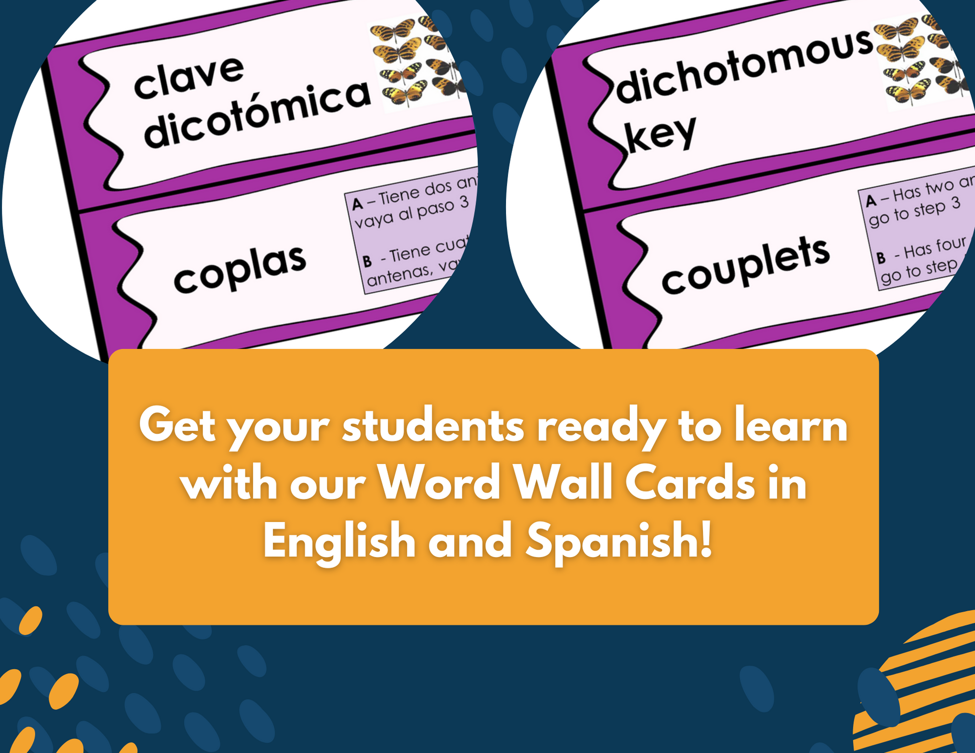 Dichotomous Keys Complete Lesson Plan - MS