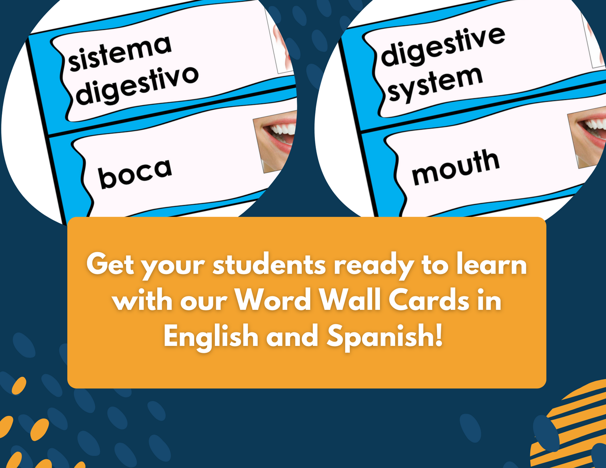 Digestive System Complete Lesson Plan - MS