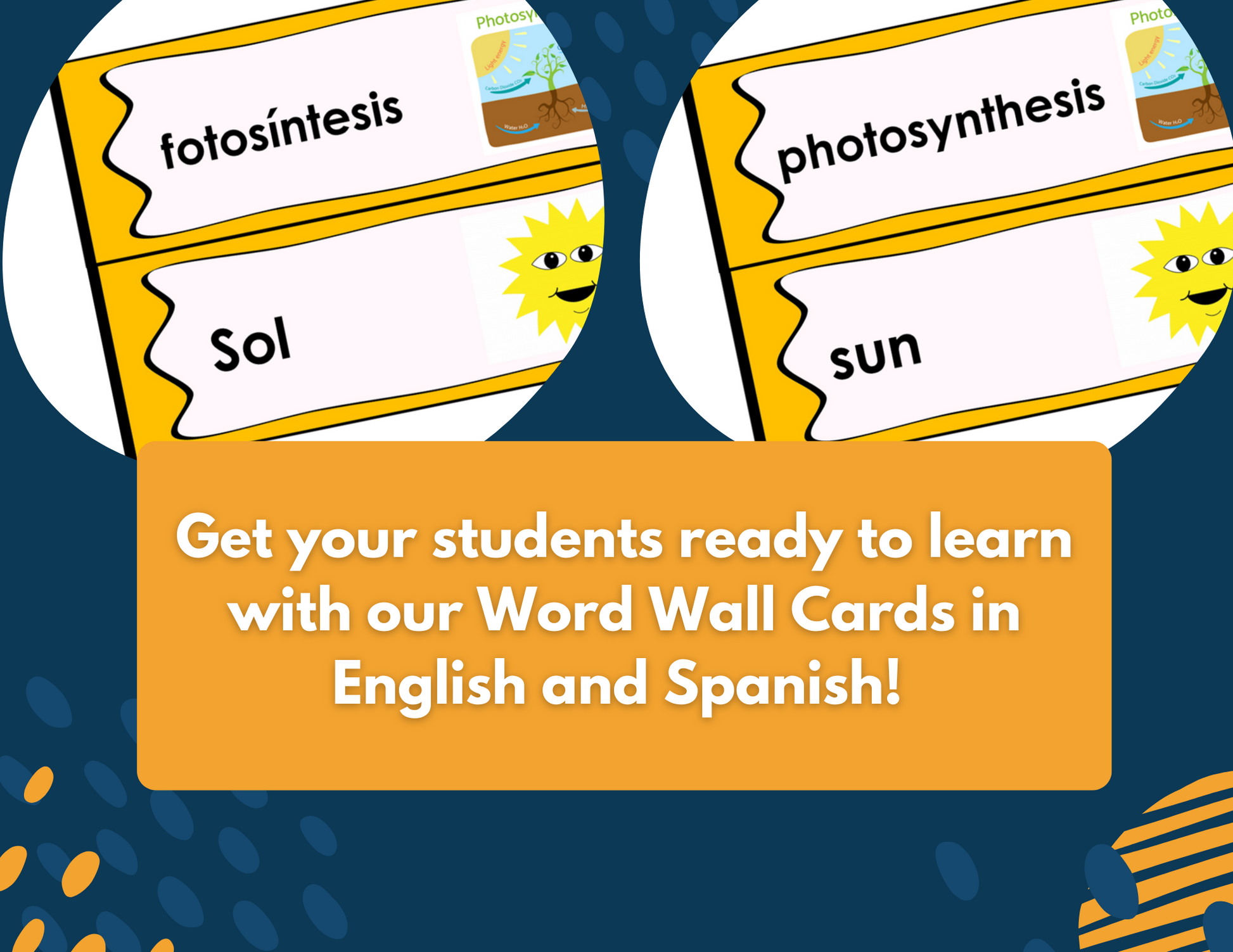 Photosynthesis Complete Lesson Plan - MS