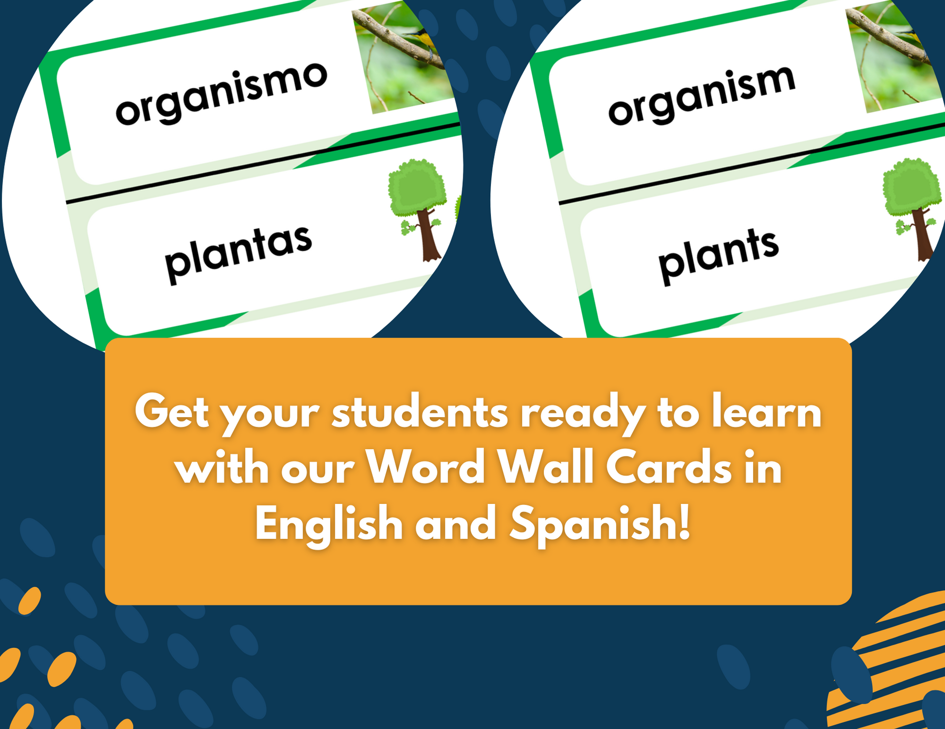 Living vs. Nonliving - Complete Lesson Plan - 5th Grade