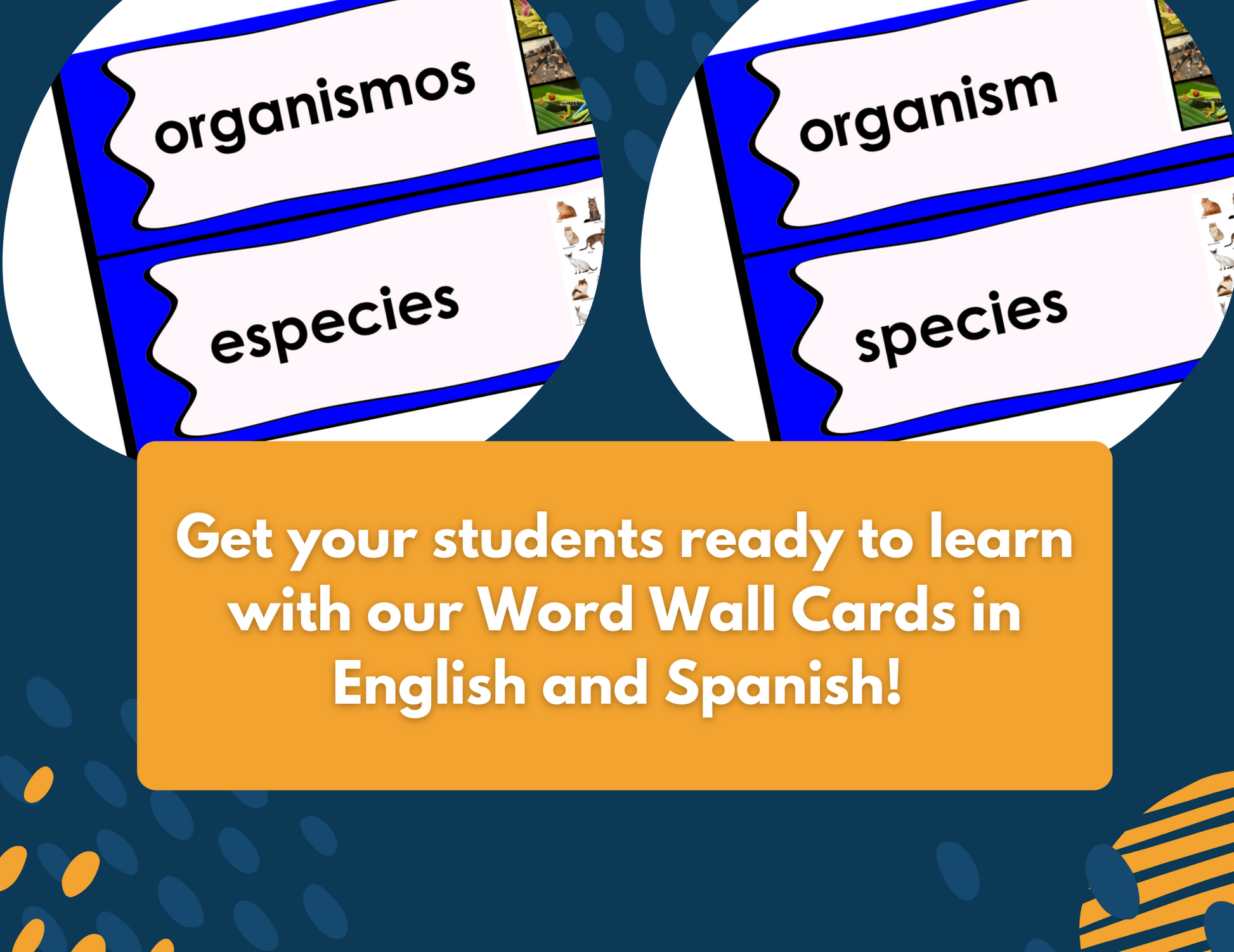 2021 TEKS MS 6-8 5E Lessons: Ecosystems Bundle