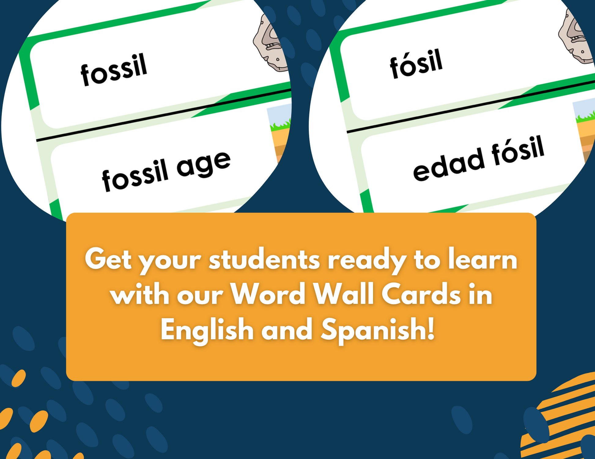 Fossil Evidence - Complete Lesson Plan - 5th Grade