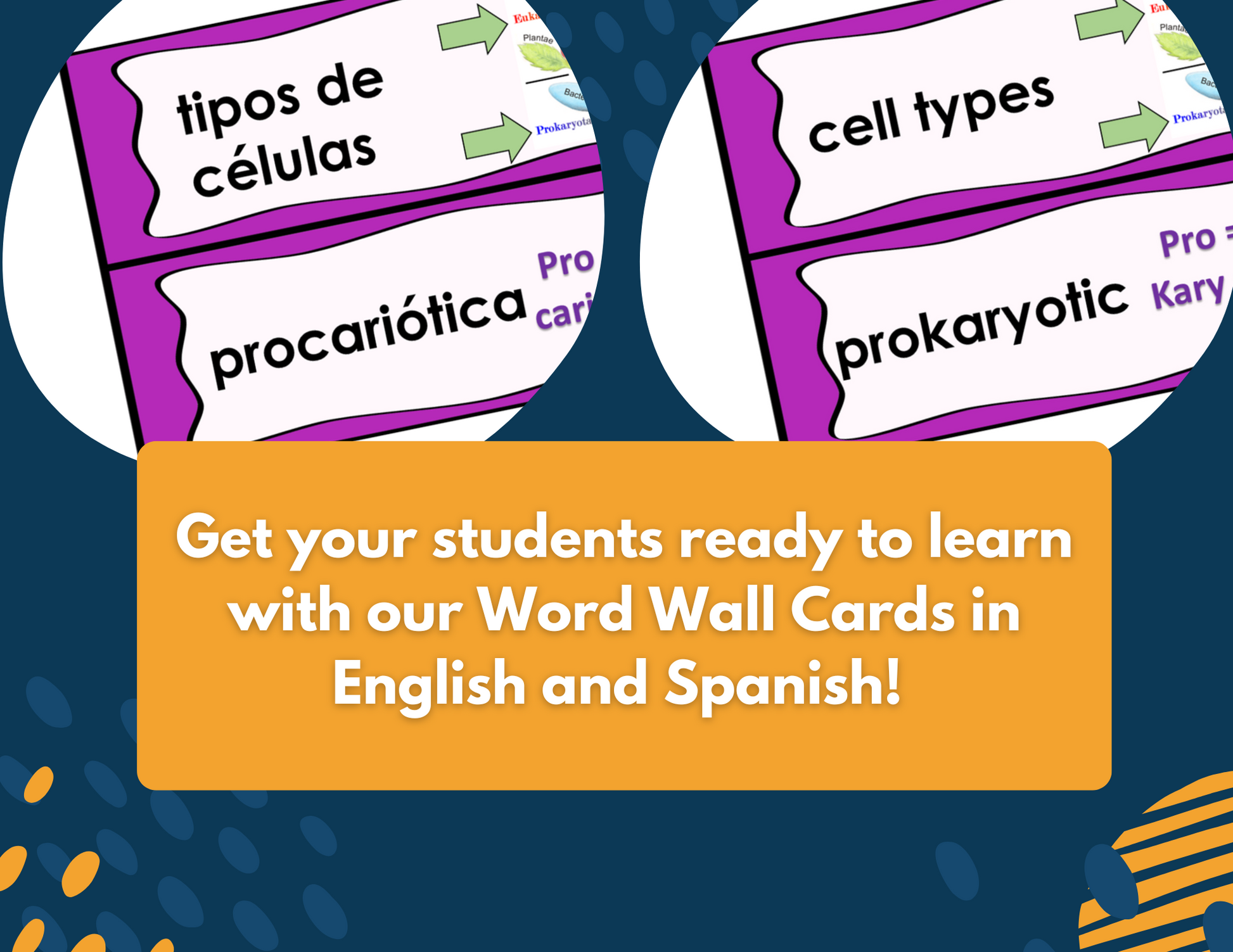 Prokaryotic & Eukaryotic Cells Complete Lesson Plan - MS
