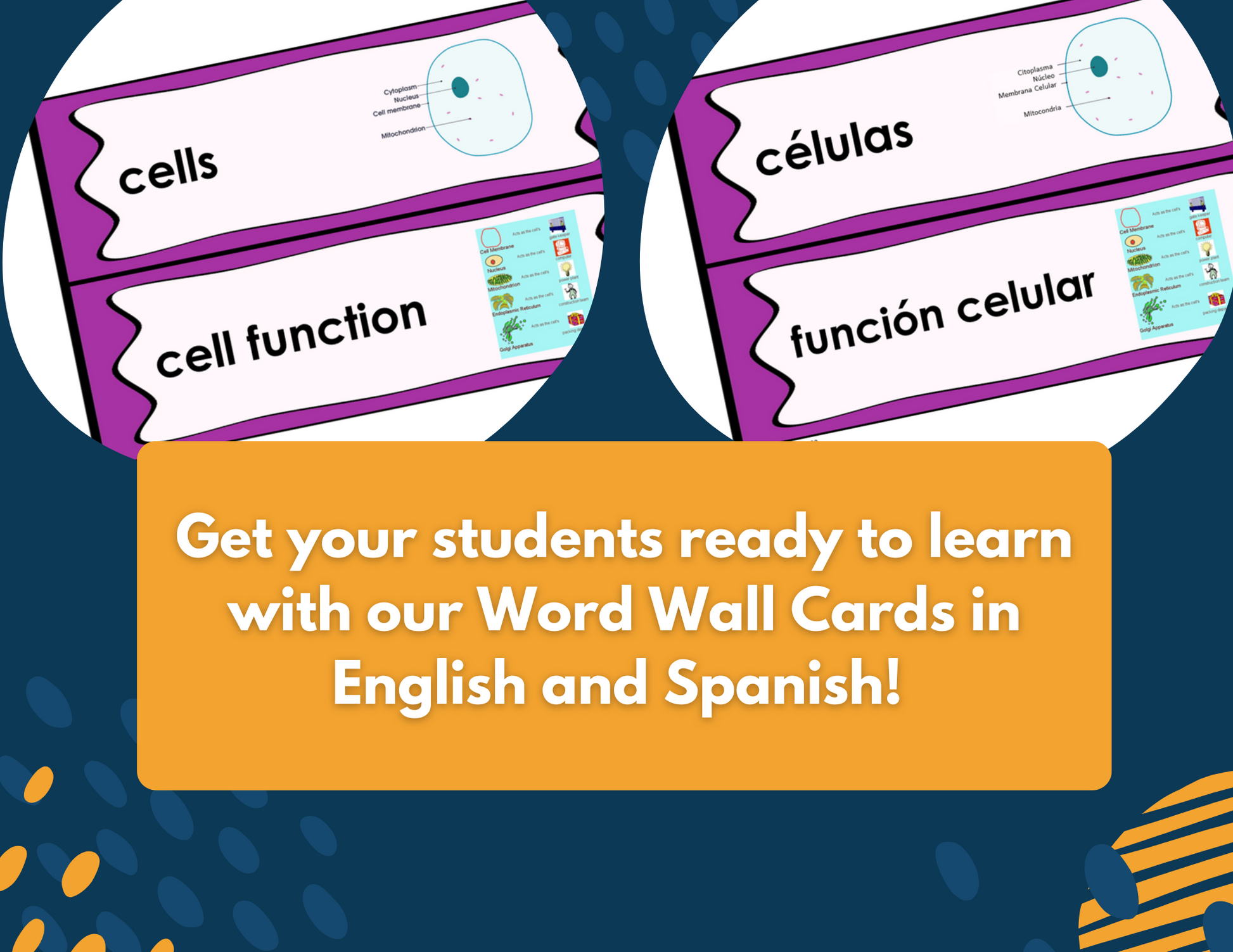 Cell Theory Complete Lesson Plan - MS