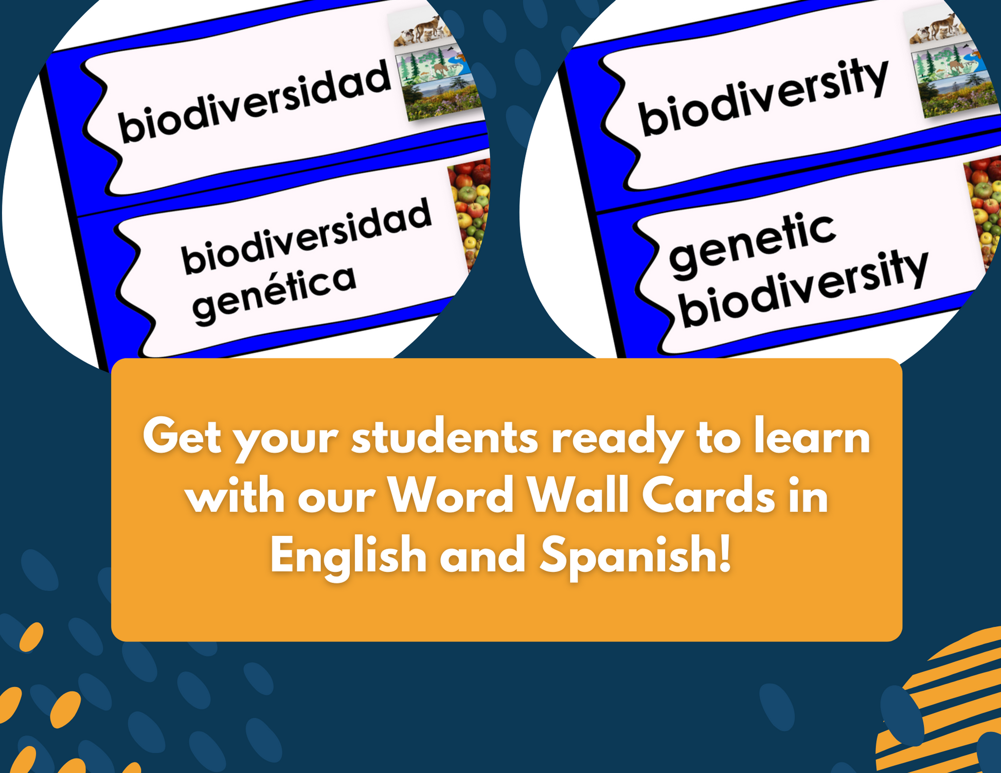 Biodiversity Complete Lesson Plan - MS