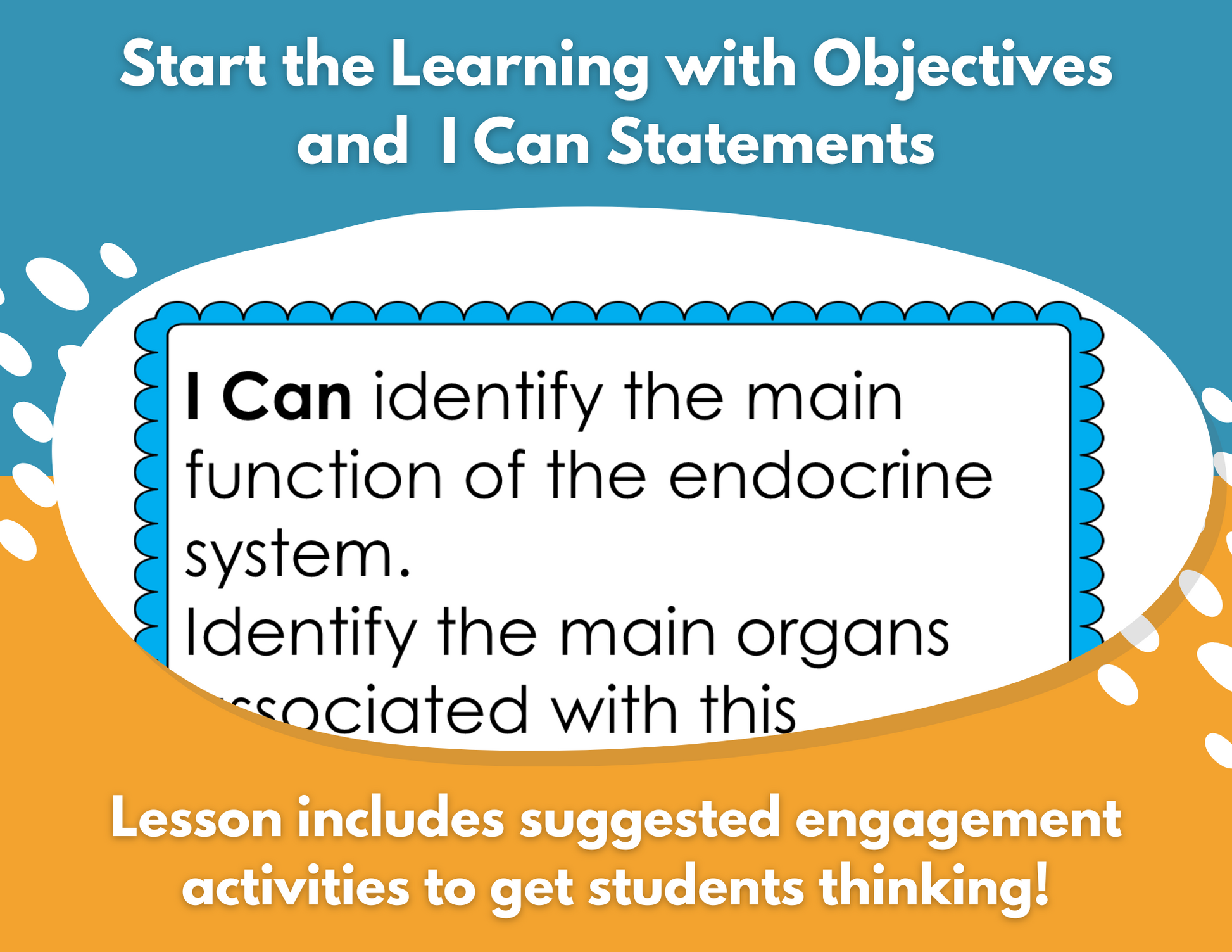 Endocrine System Complete Lesson Plan - MS