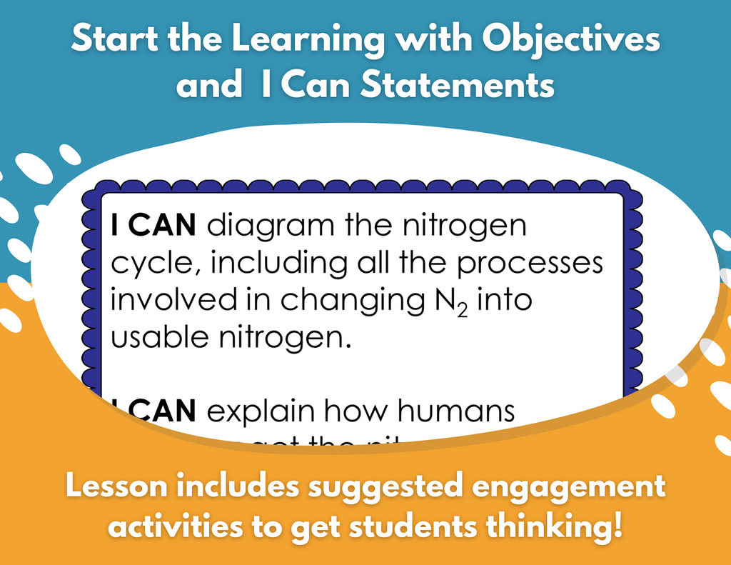 Nitrogen Cycle Complete Lesson Plan - MS