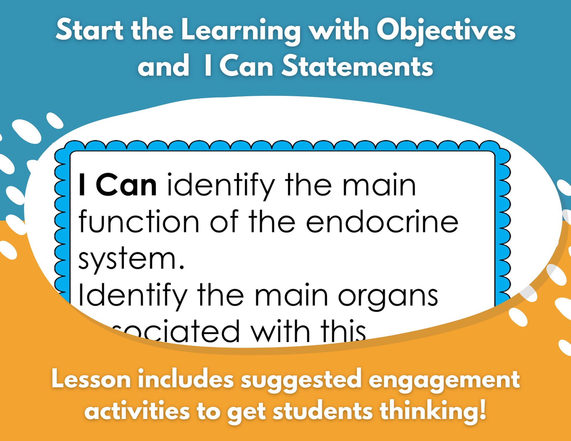 2021 TEKS MS 6-8 5E Lessons: Body Systems Bundle