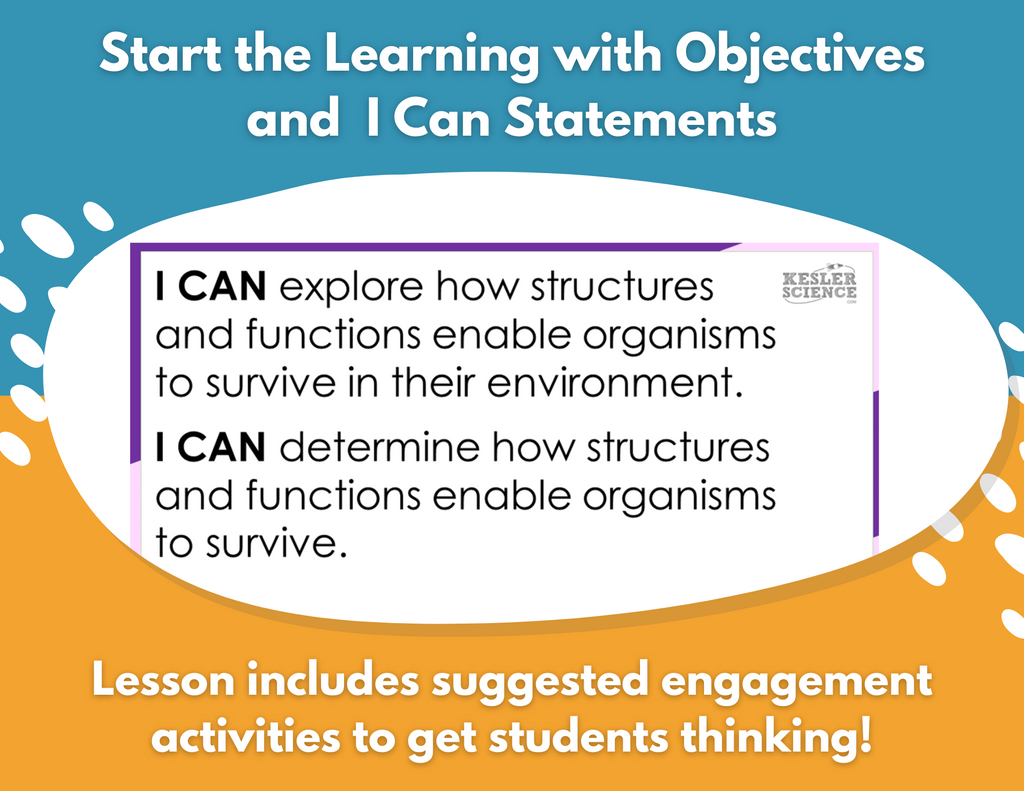 Structures & Functions - Complete Lesson Plan - Grades 4-6