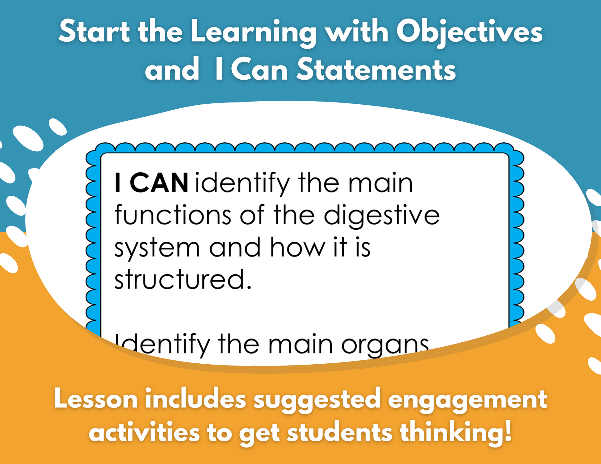 Digestive System Complete Lesson Plan - MS