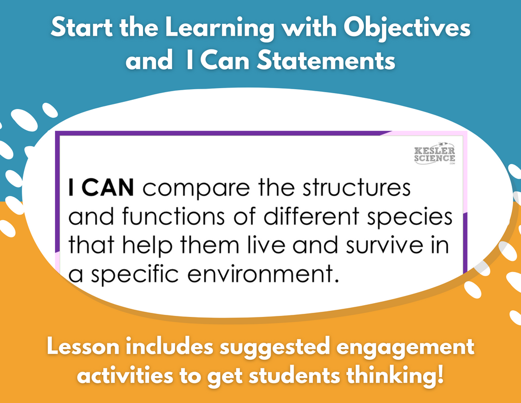 Structures & Behaviors - Complete Lesson Plan - 5th Grade
