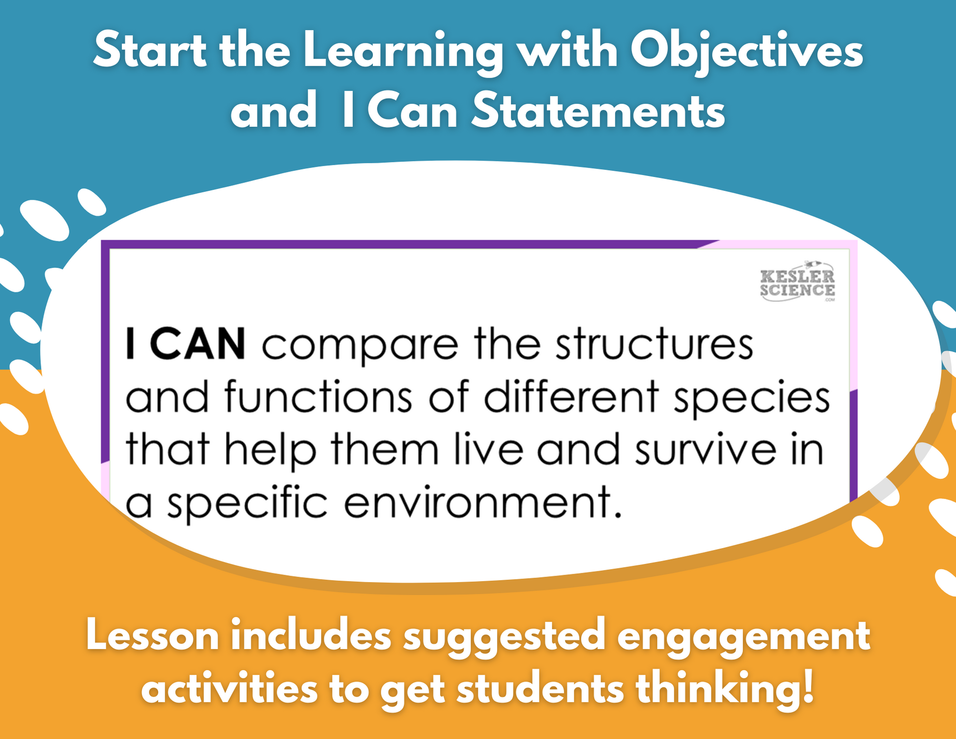 Structures & Behaviors - Complete Lesson Plan - 5th Grade