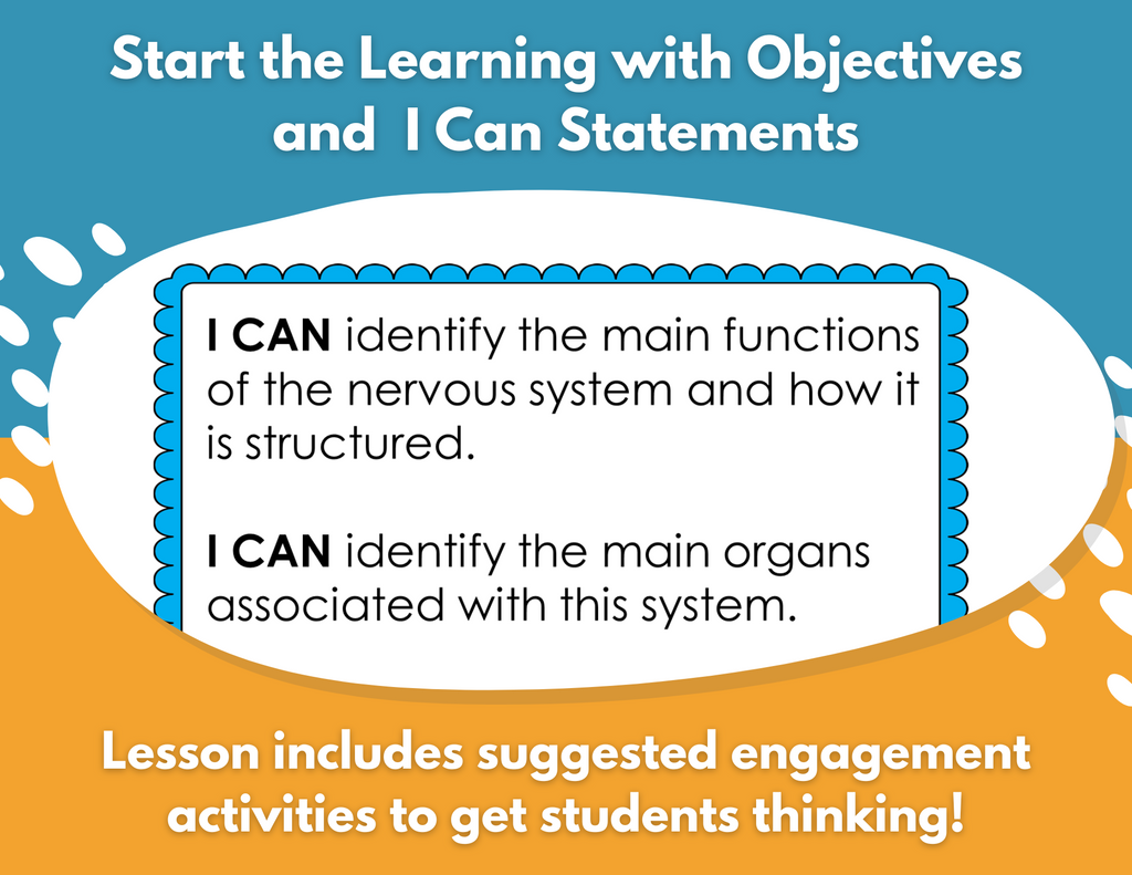 Nervous System Complete Lesson Plan - MS
