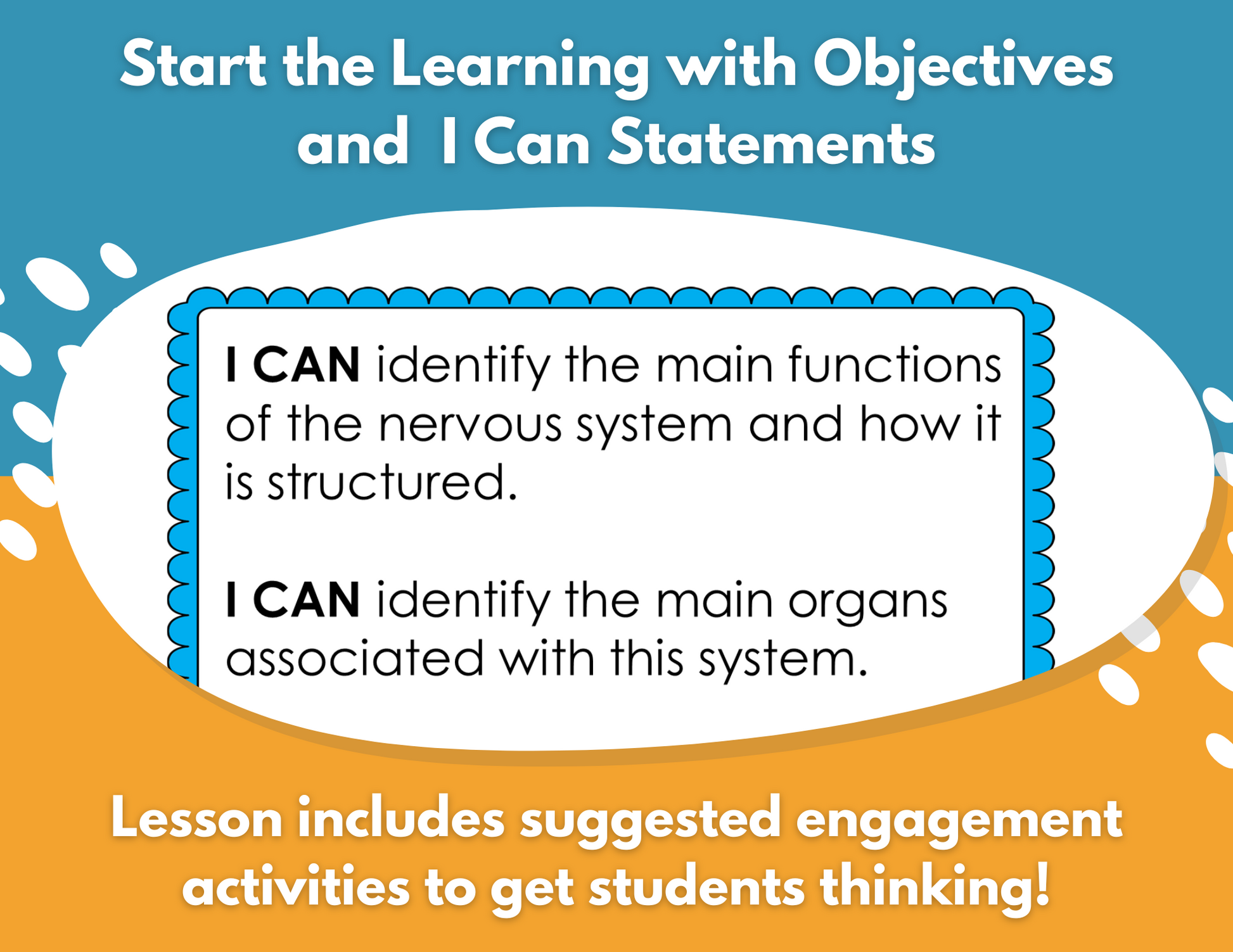 Nervous System Complete Lesson Plan - MS