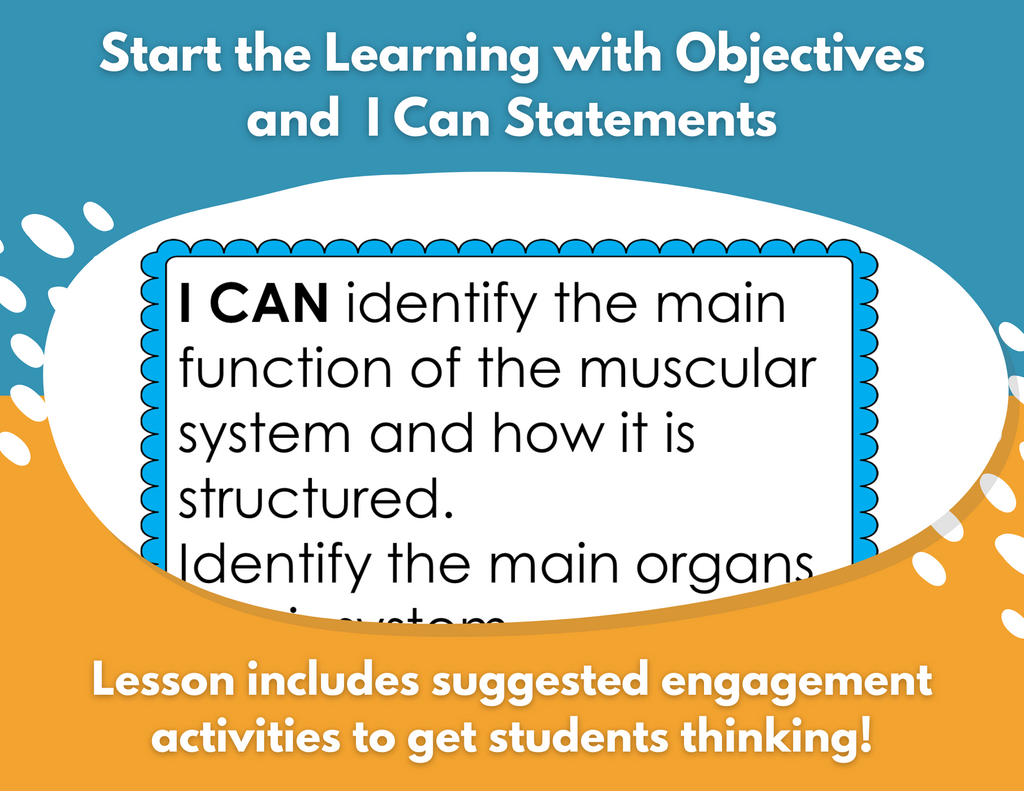 Muscular System Complete Lesson Plan - MS
