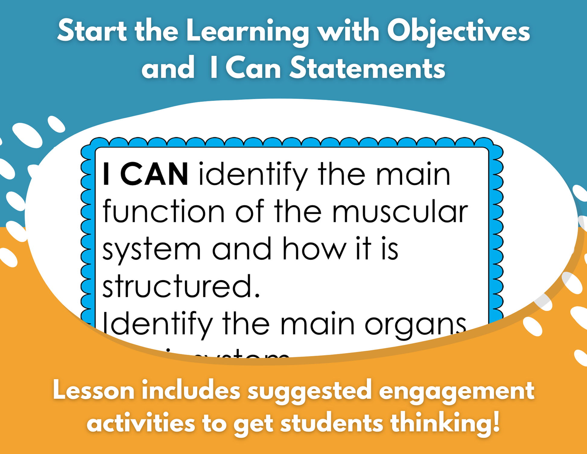 Muscular System Complete Lesson Plan - MS