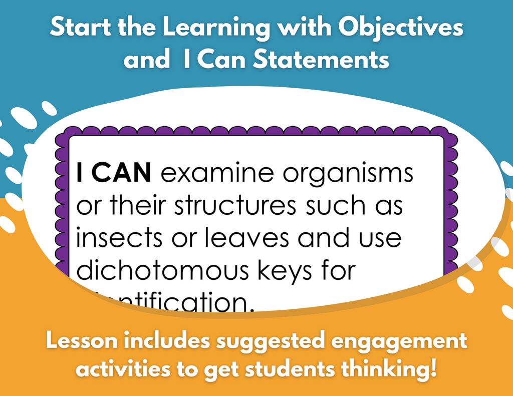 Dichotomous Keys Complete Lesson Plan - MS