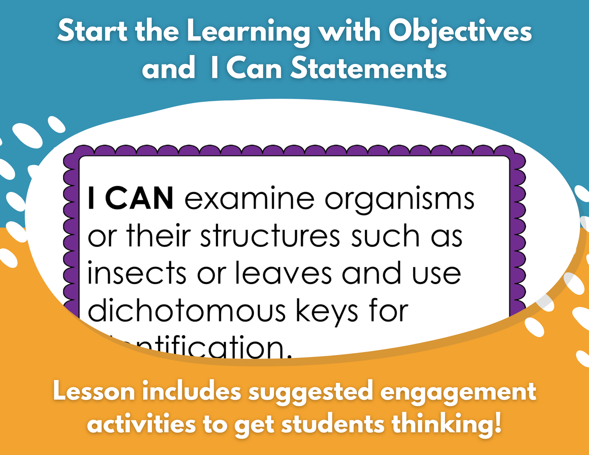Dichotomous Keys Complete Lesson Plan - MS