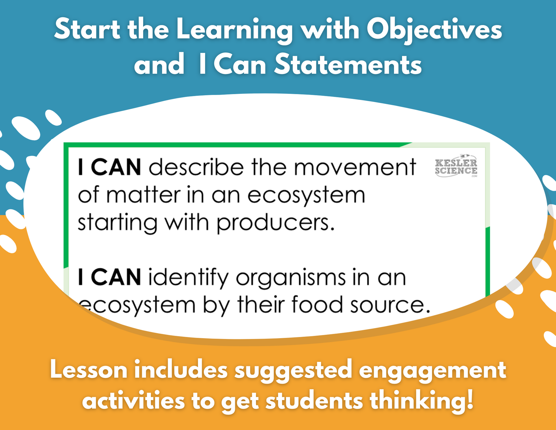 Cycling of Matter in an Ecosystem - Complete Lesson Plan - 5th Grade