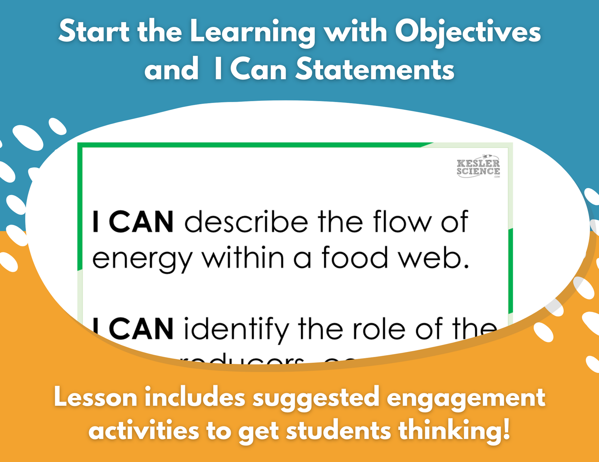 Energy in Ecosystems - Complete Lesson Plan - 5th Grade