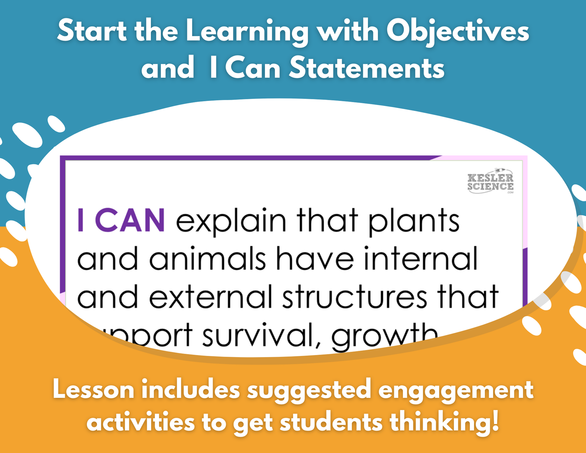2021 TEKS 5E Lessons: 4th Grade Life Science Bundle