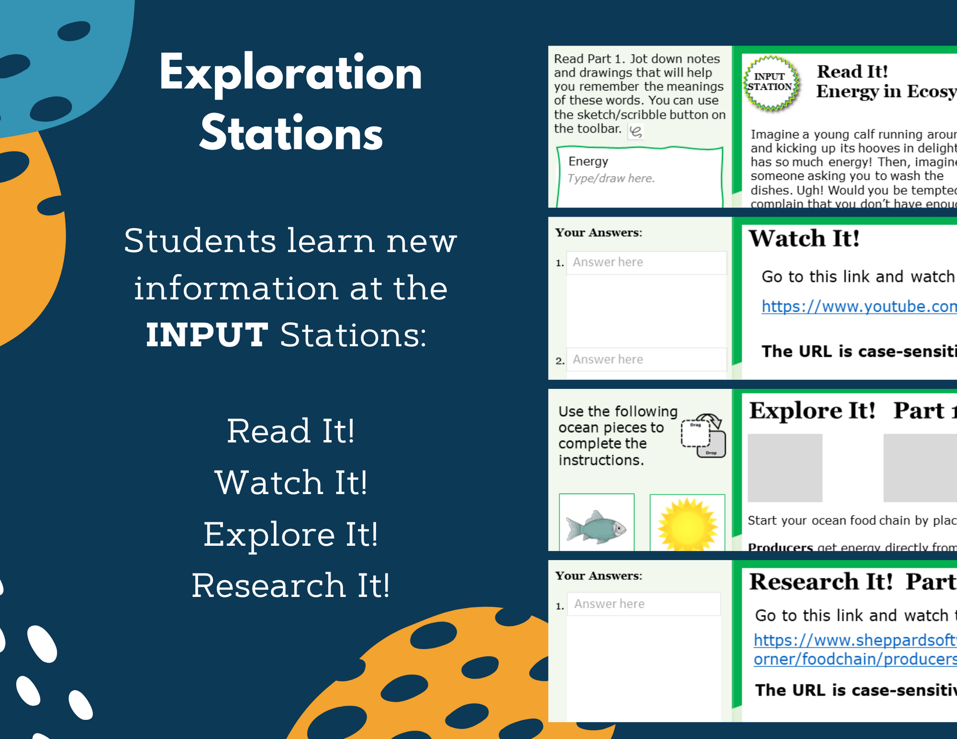 Energy in Ecosystems - Complete Lesson Plan - 5th Grade