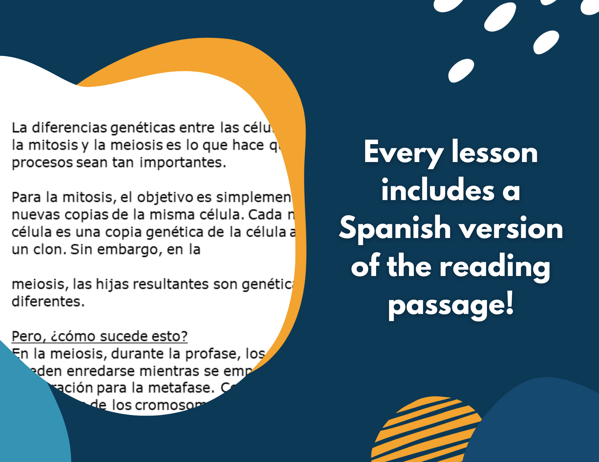Mitosis & Meiosis Complete Lesson Plan - MS
