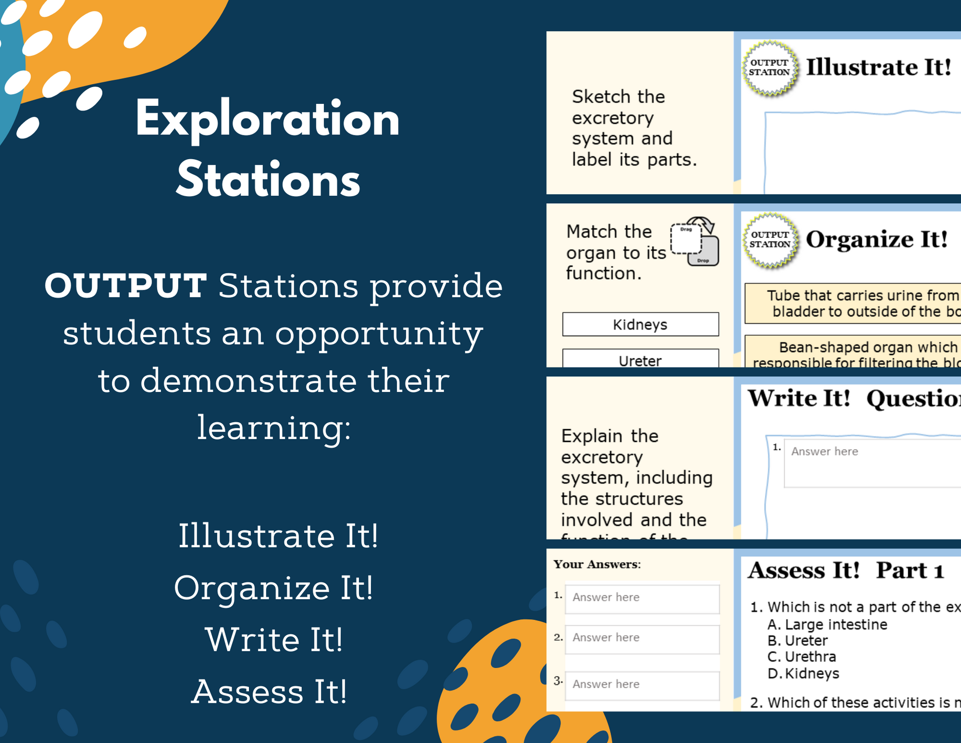 Excretory System Complete Lesson Plan - MS