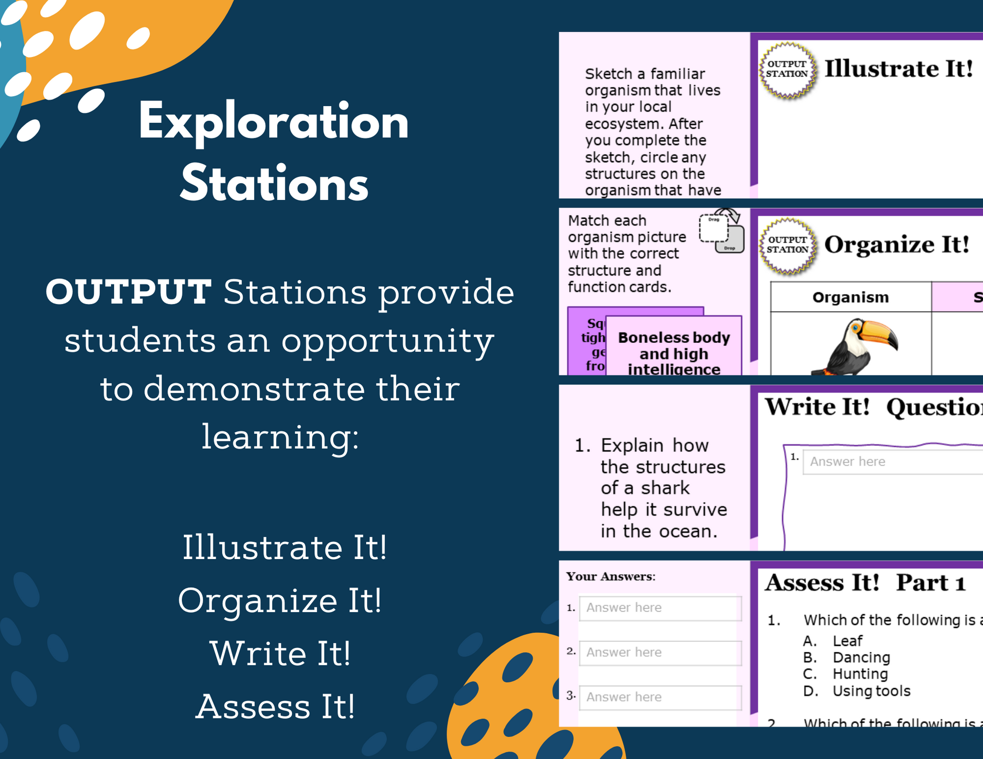 Structures & Behaviors - Complete Lesson Plan - 5th Grade