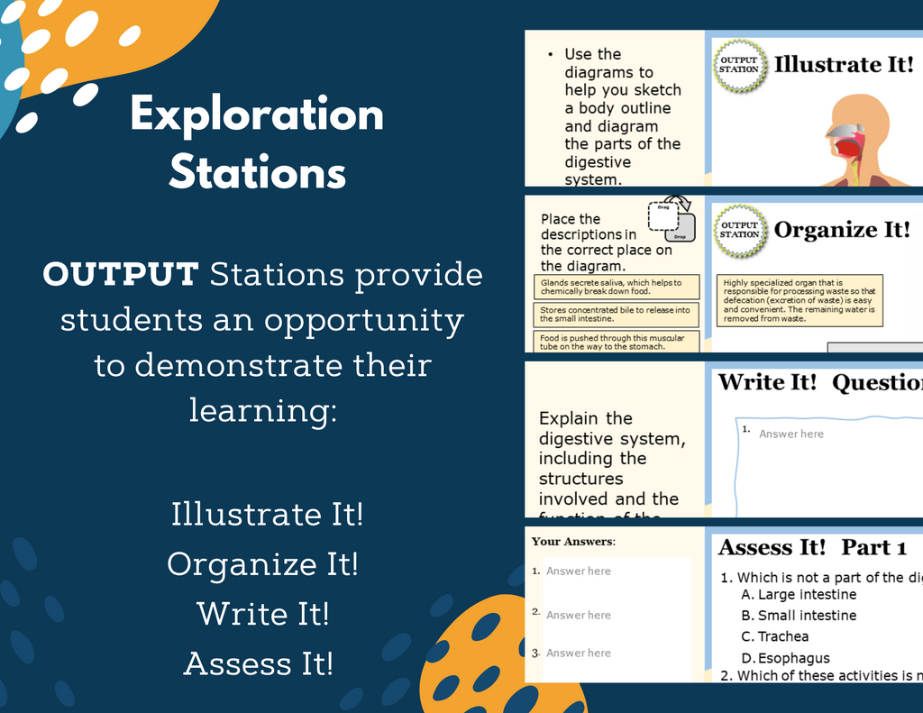 Digestive System Complete Lesson Plan - MS