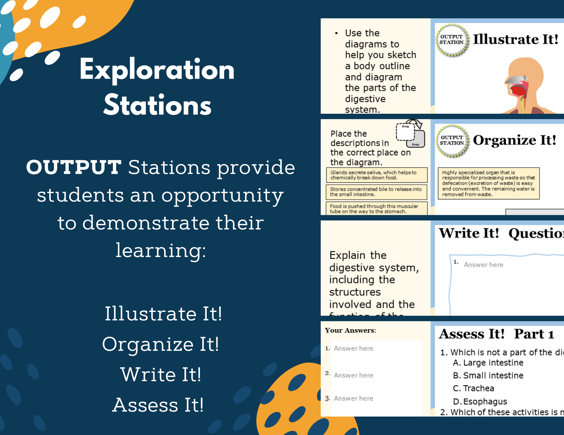 Digestive System Complete Lesson Plan - MS
